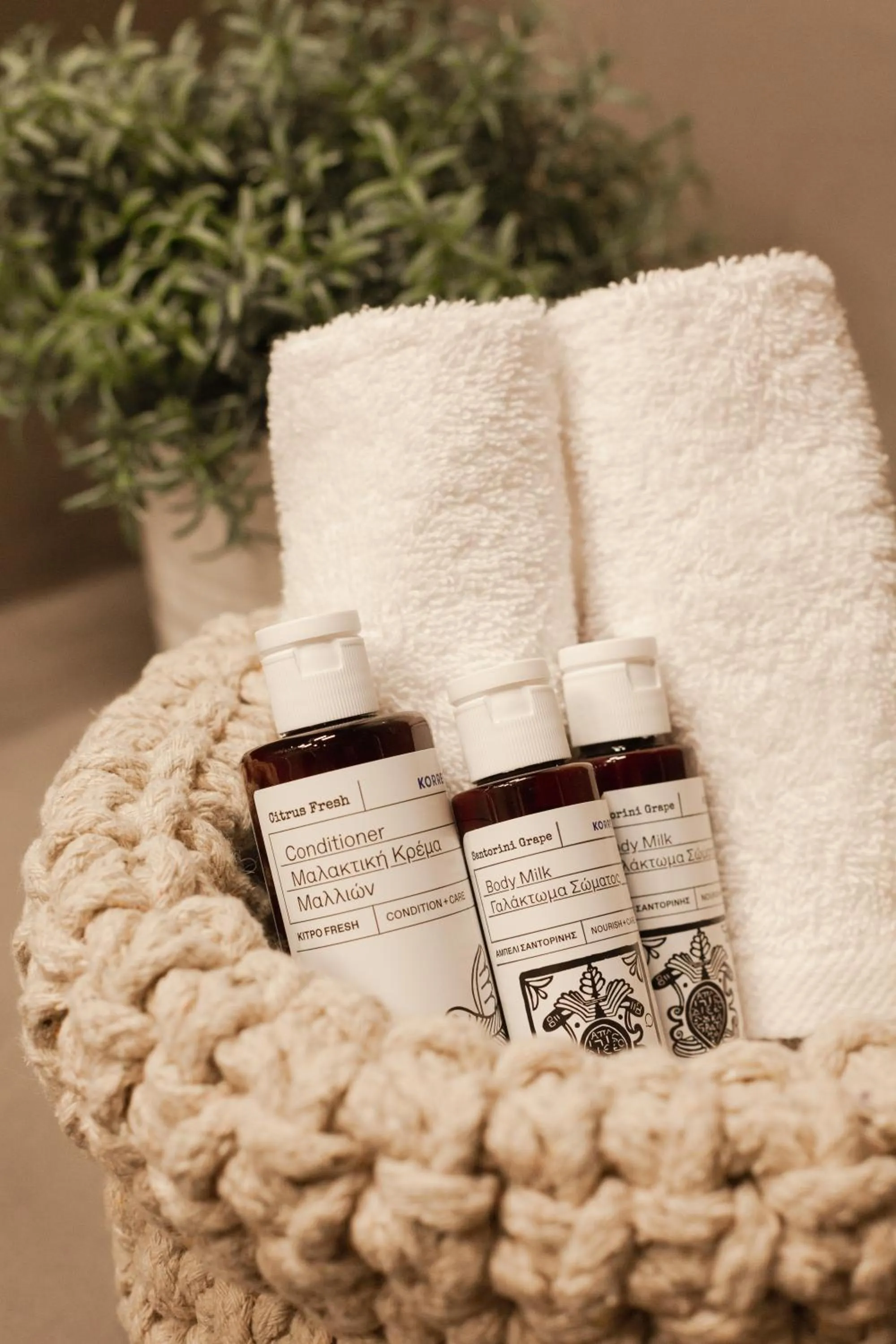 Bathroom in Cydonia Caves