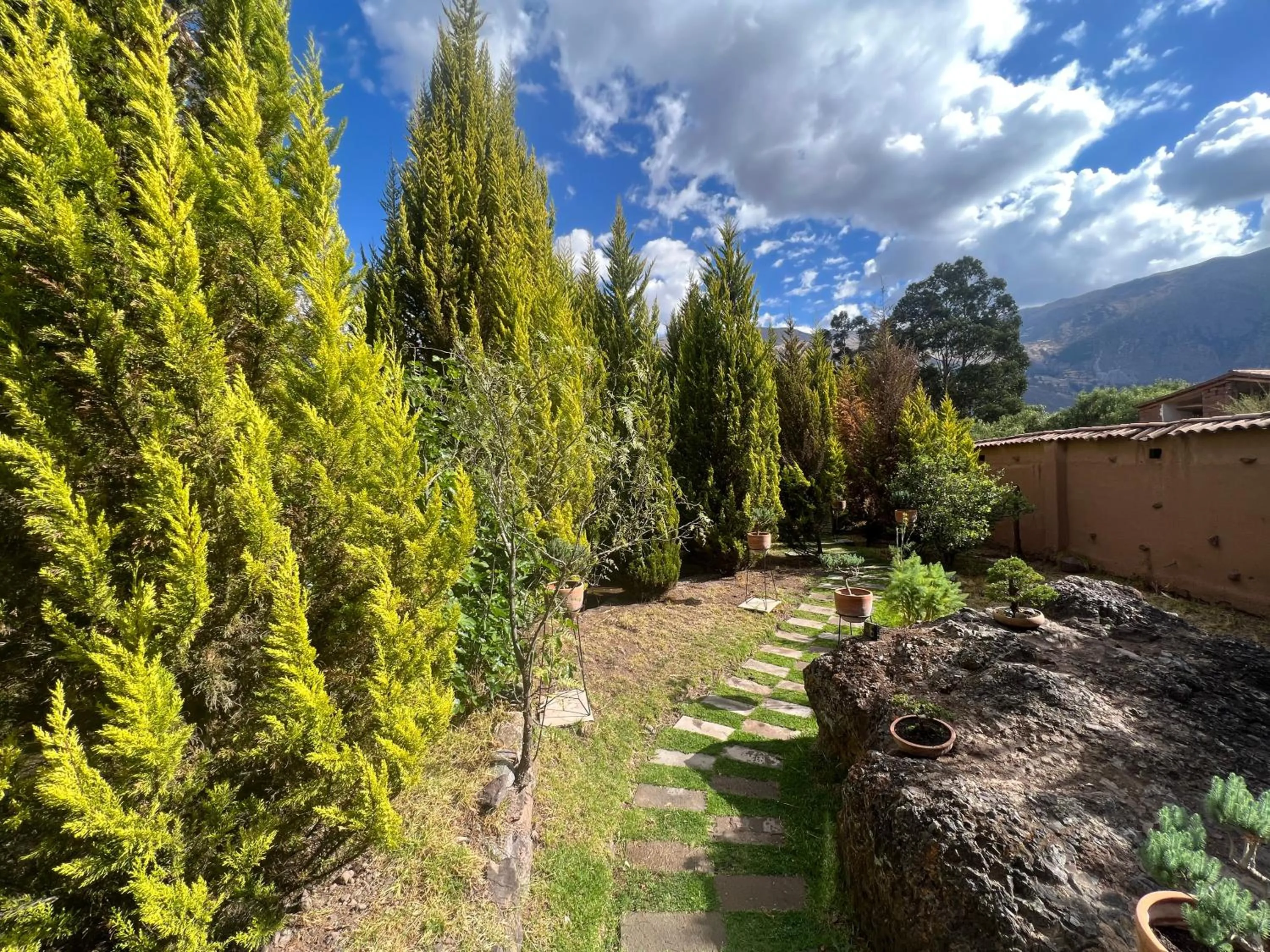 Garden in CASA RAIZ Handmade House Luxury Stay