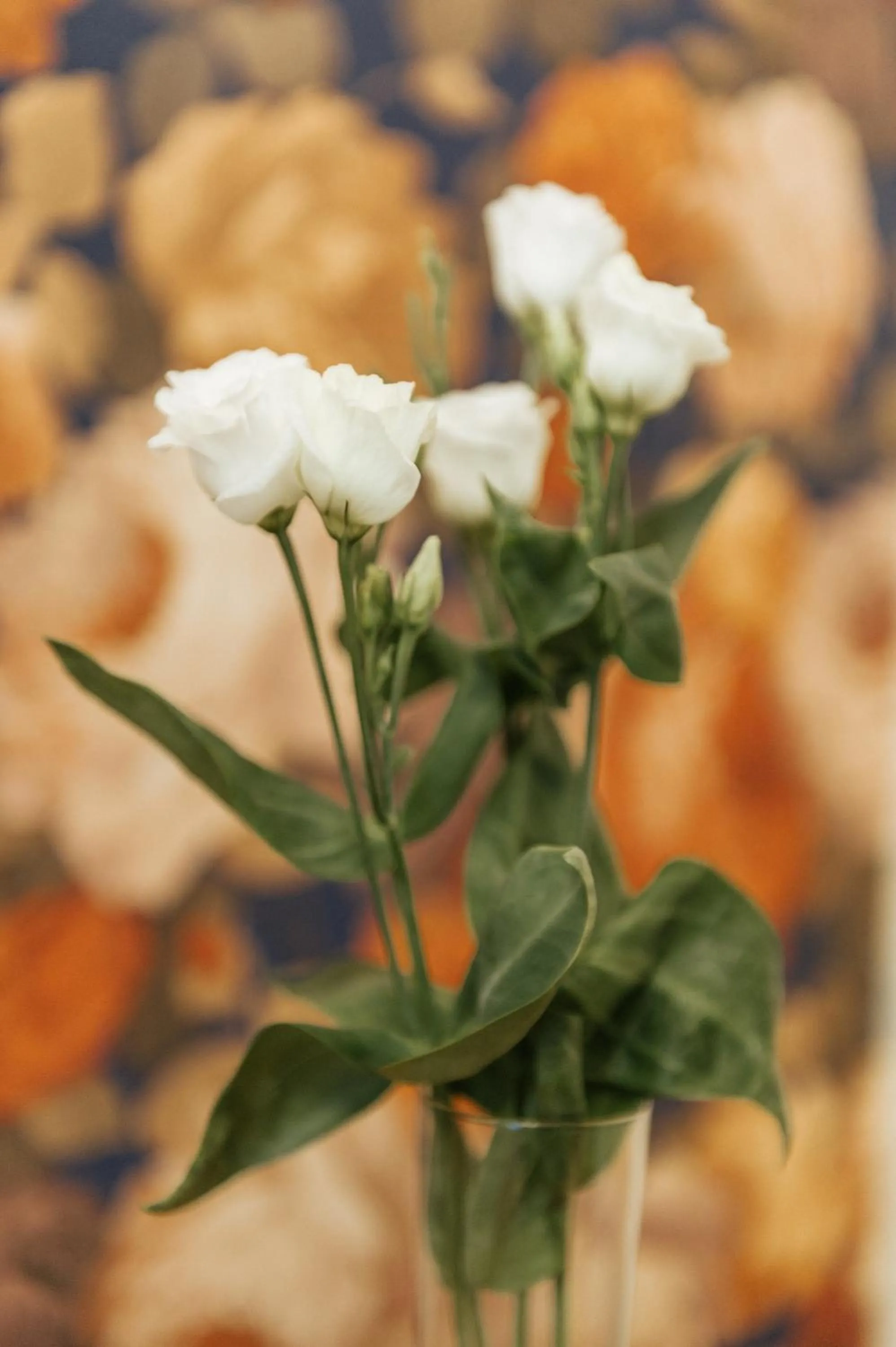 Decorative detail in Hotel Aganoor