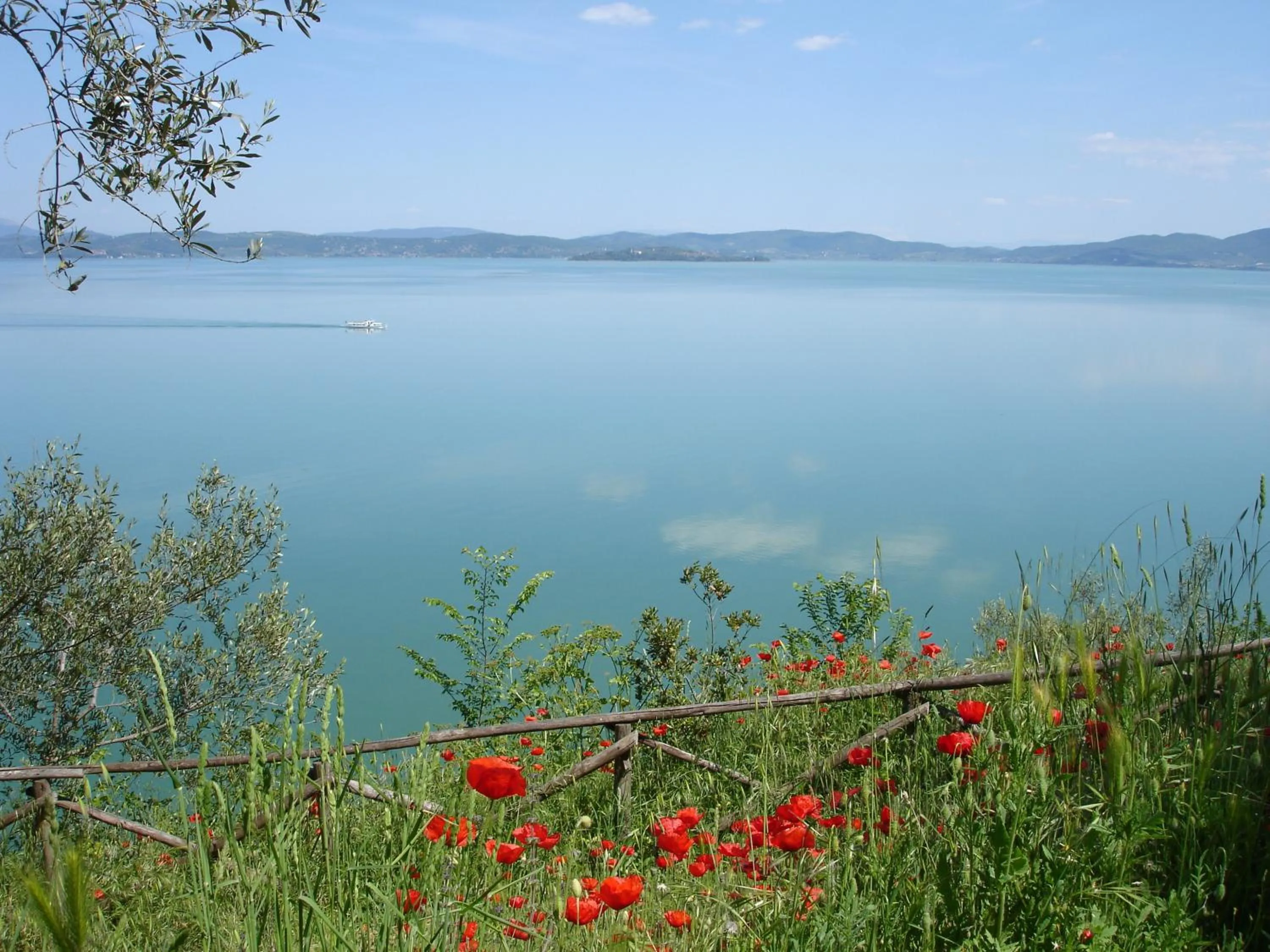 Summer in Hotel Aganoor