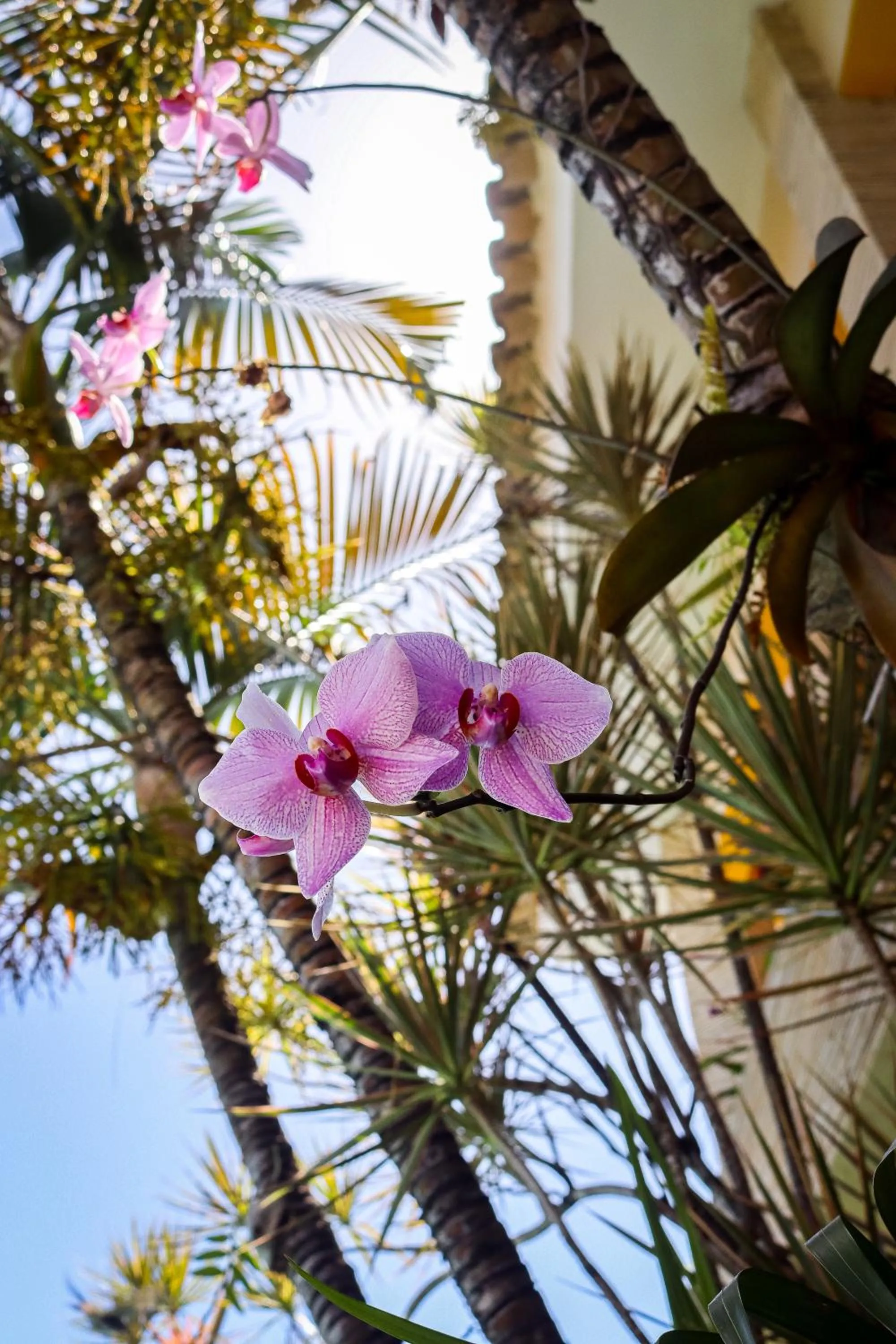 Property building in Pousada Som dos Pássaros