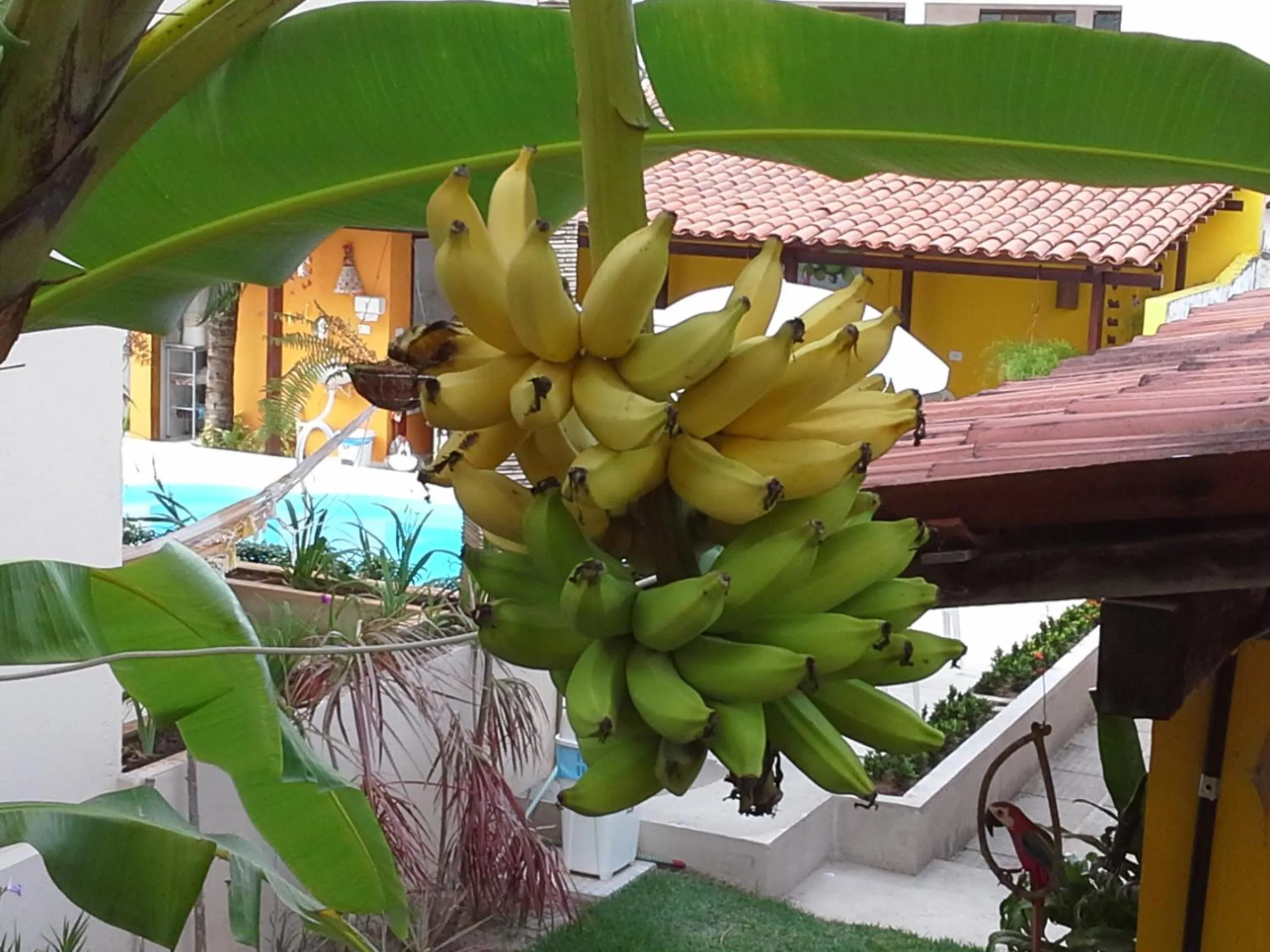 Garden in Pousada Som dos Pássaros