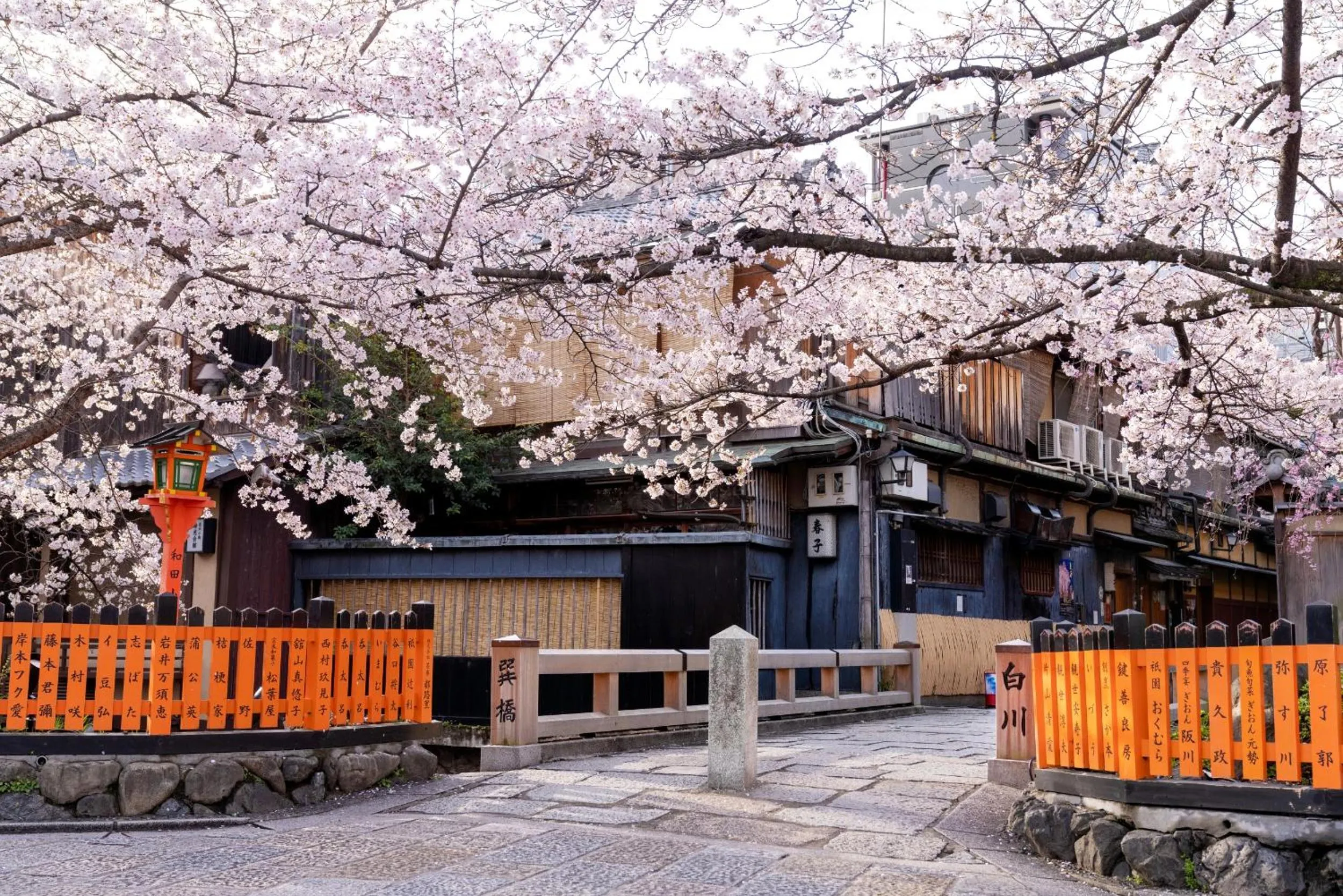 Spring in OMO5 Kyoto Gion by Hoshino Resorts