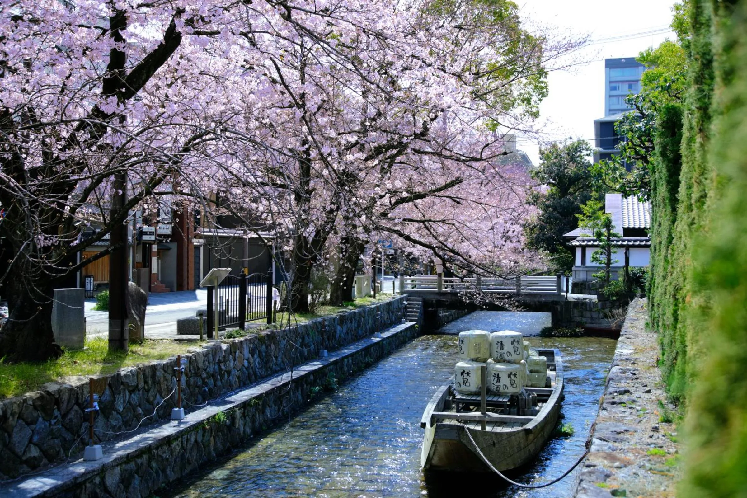 Spring in OMO5 Kyoto Sanjo by Hoshino Resorts