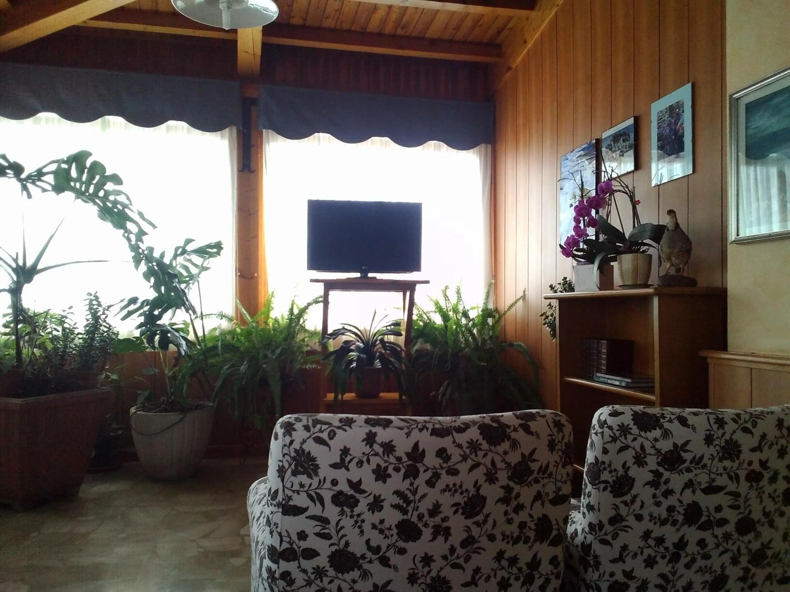 Communal lounge/ TV room in Hotel Migliorati