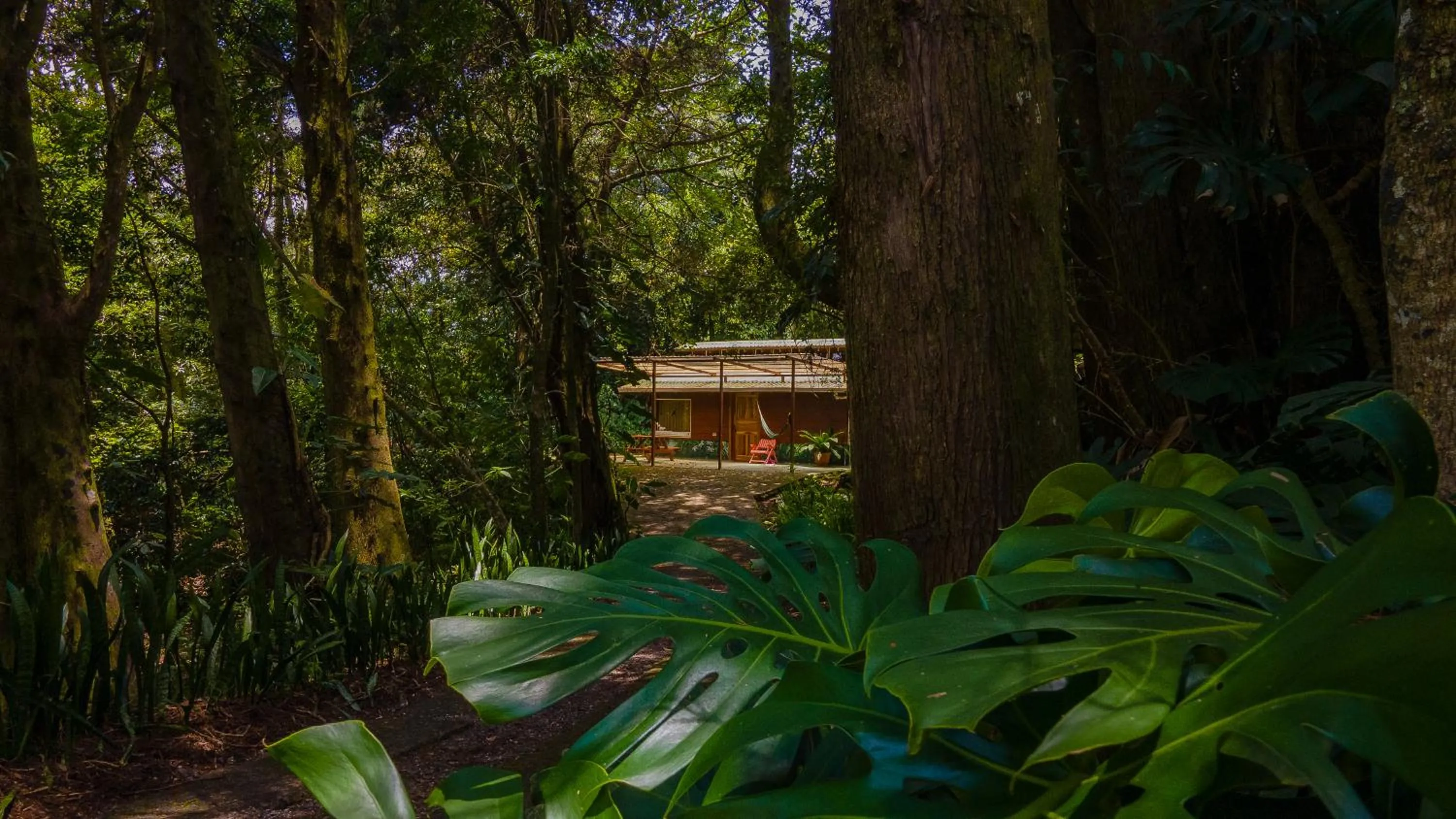 Spring in Los Pinos Cabins & Reserve