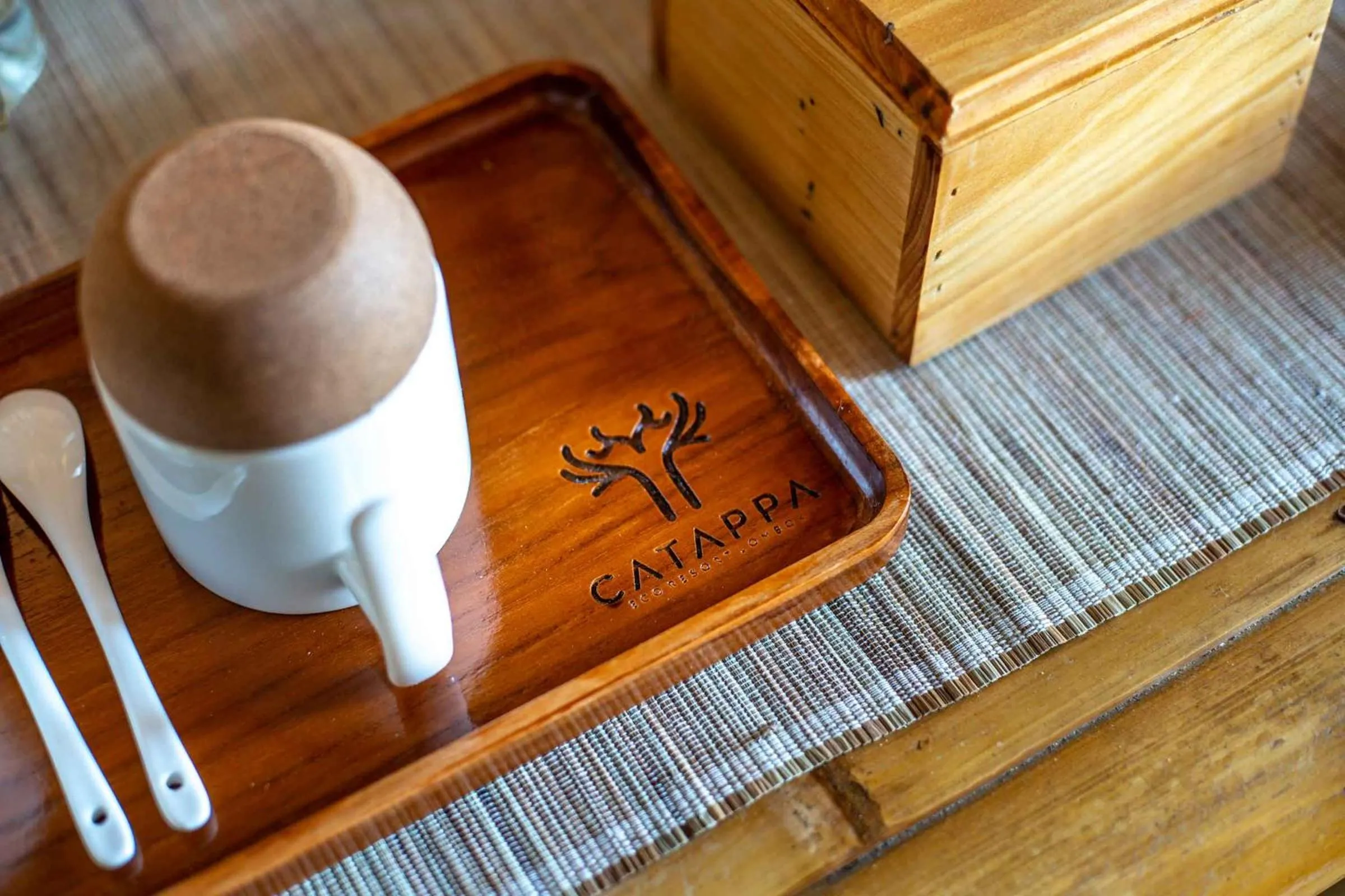 Property building in Catappa Village Lombok