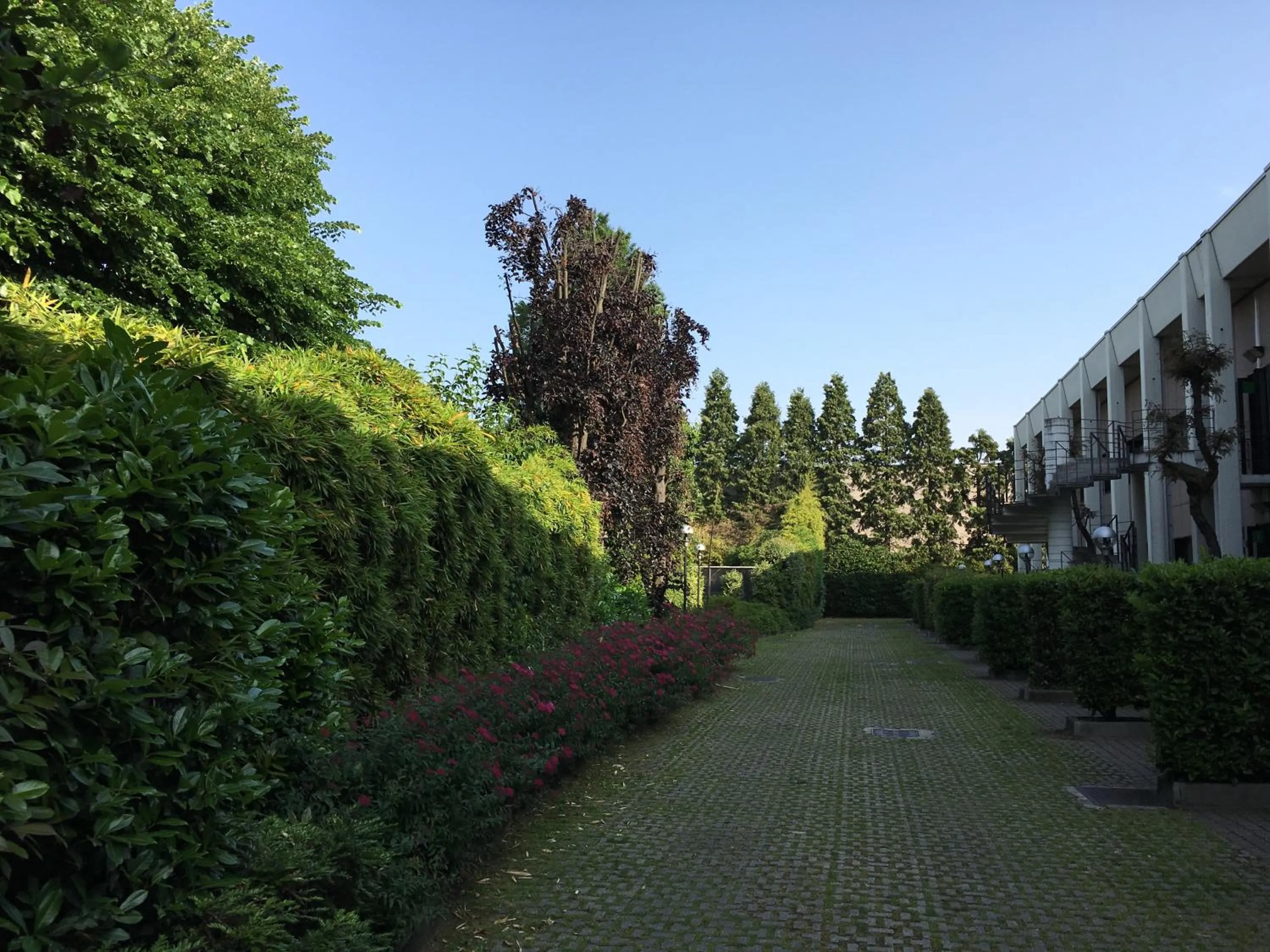 Garden view in Hotel Motel Ascot