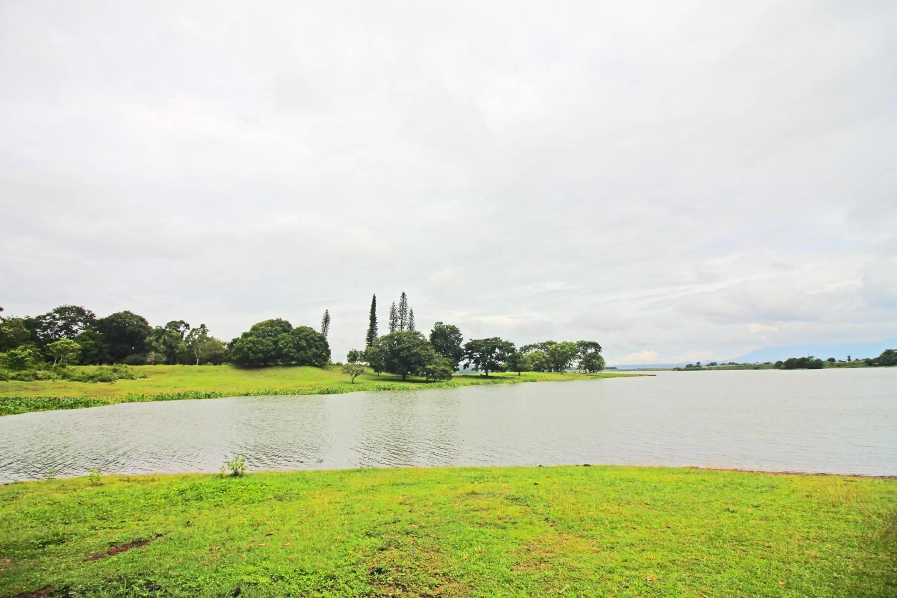 Natural landscape in Caliraya Resort Club