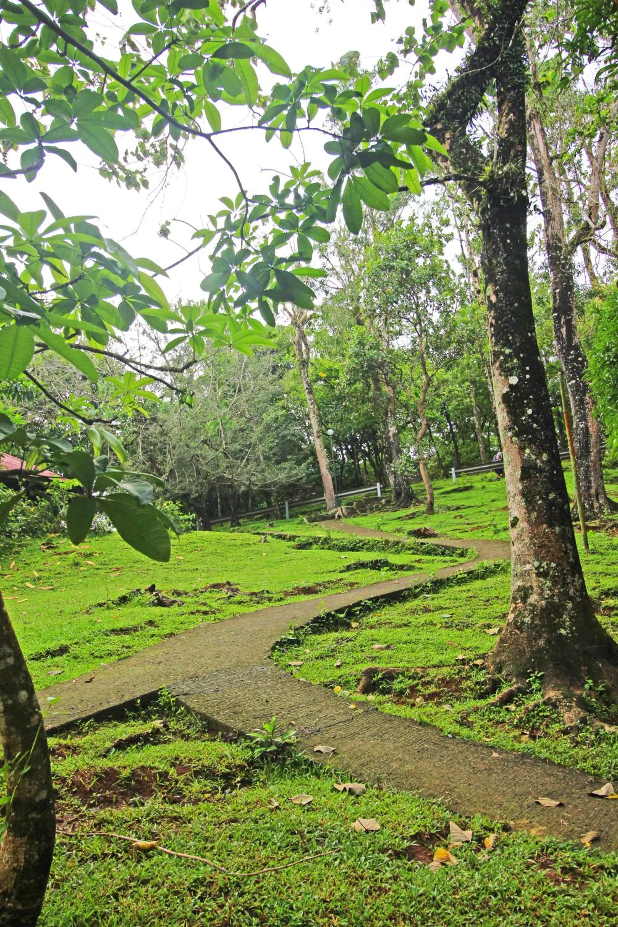 Natural landscape in Caliraya Resort Club