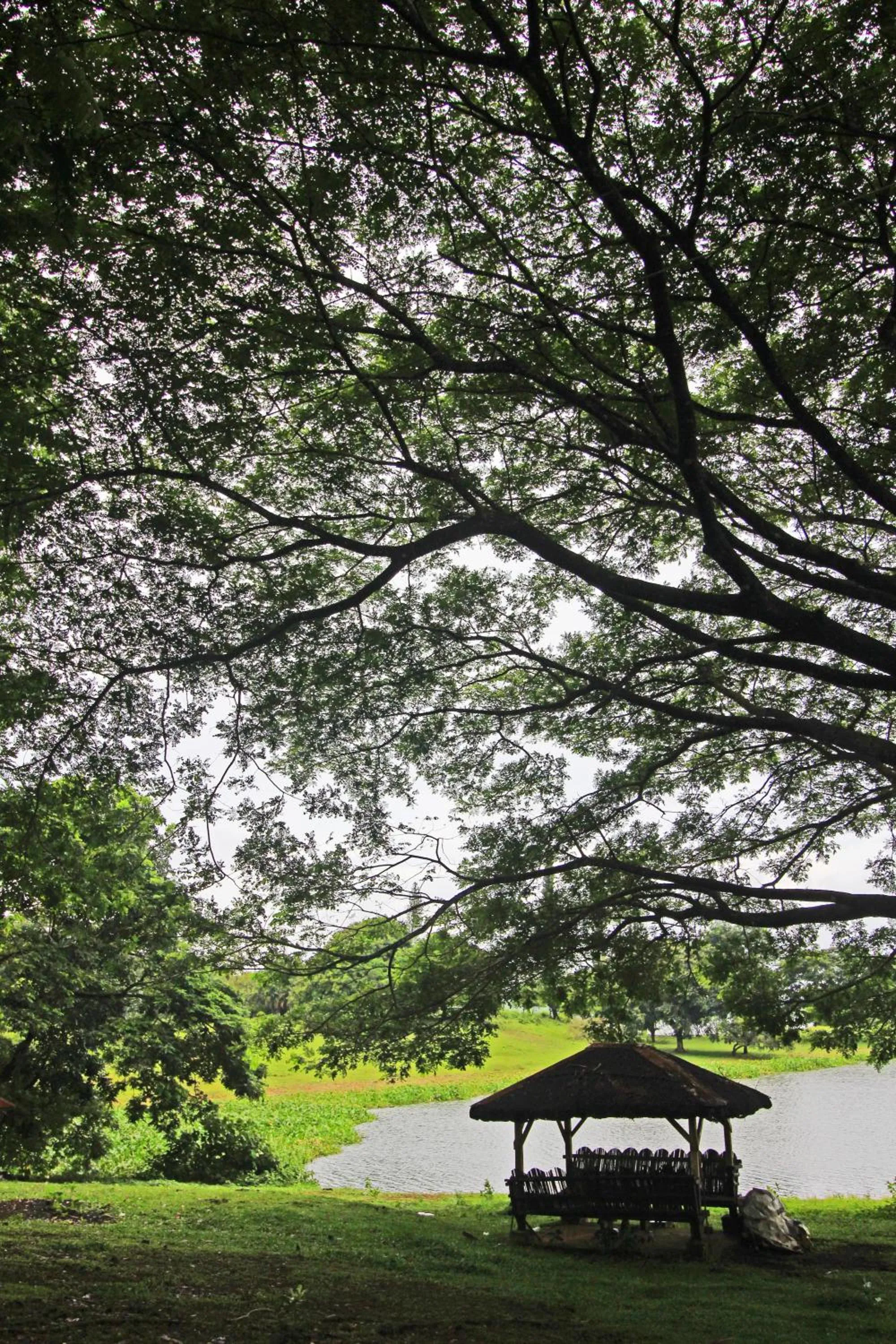 Area and facilities in Caliraya Resort Club