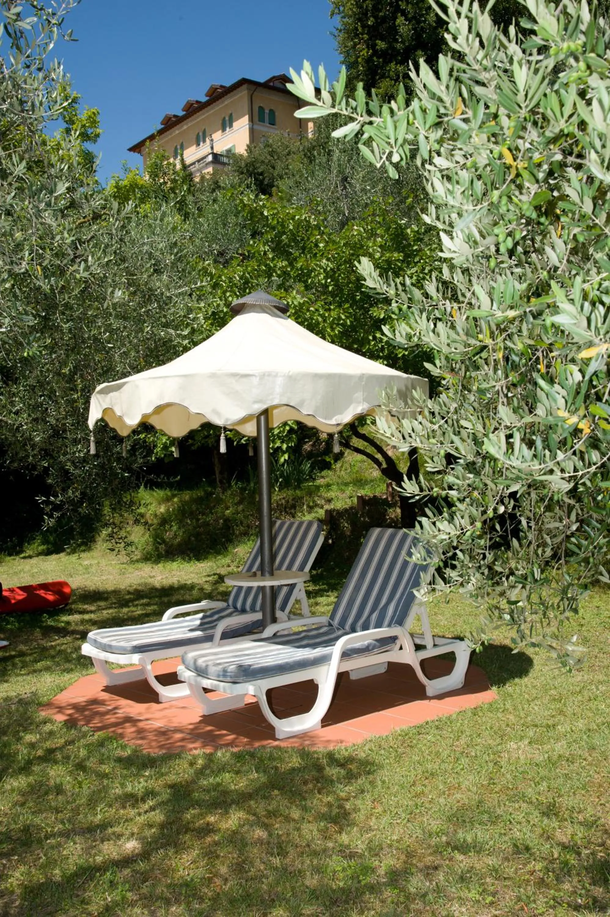 Garden in Hotel Villa Florida & Suite Apartments