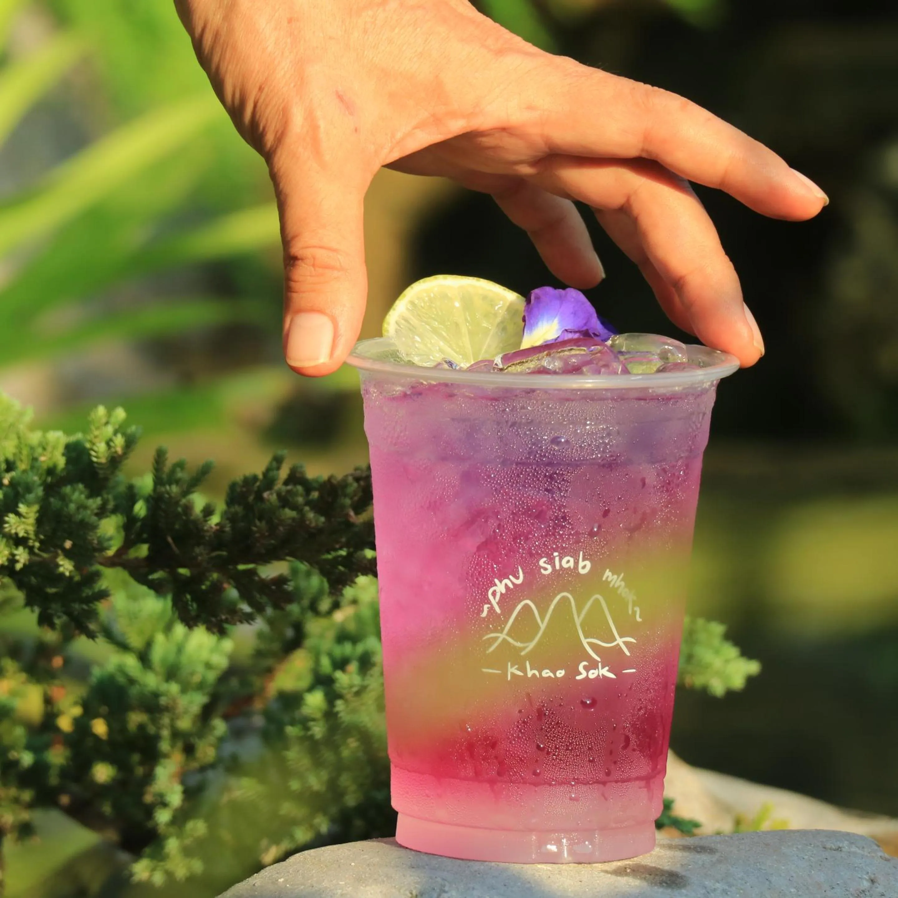 Drinks in Phu Siab Mhok@KhaoSok