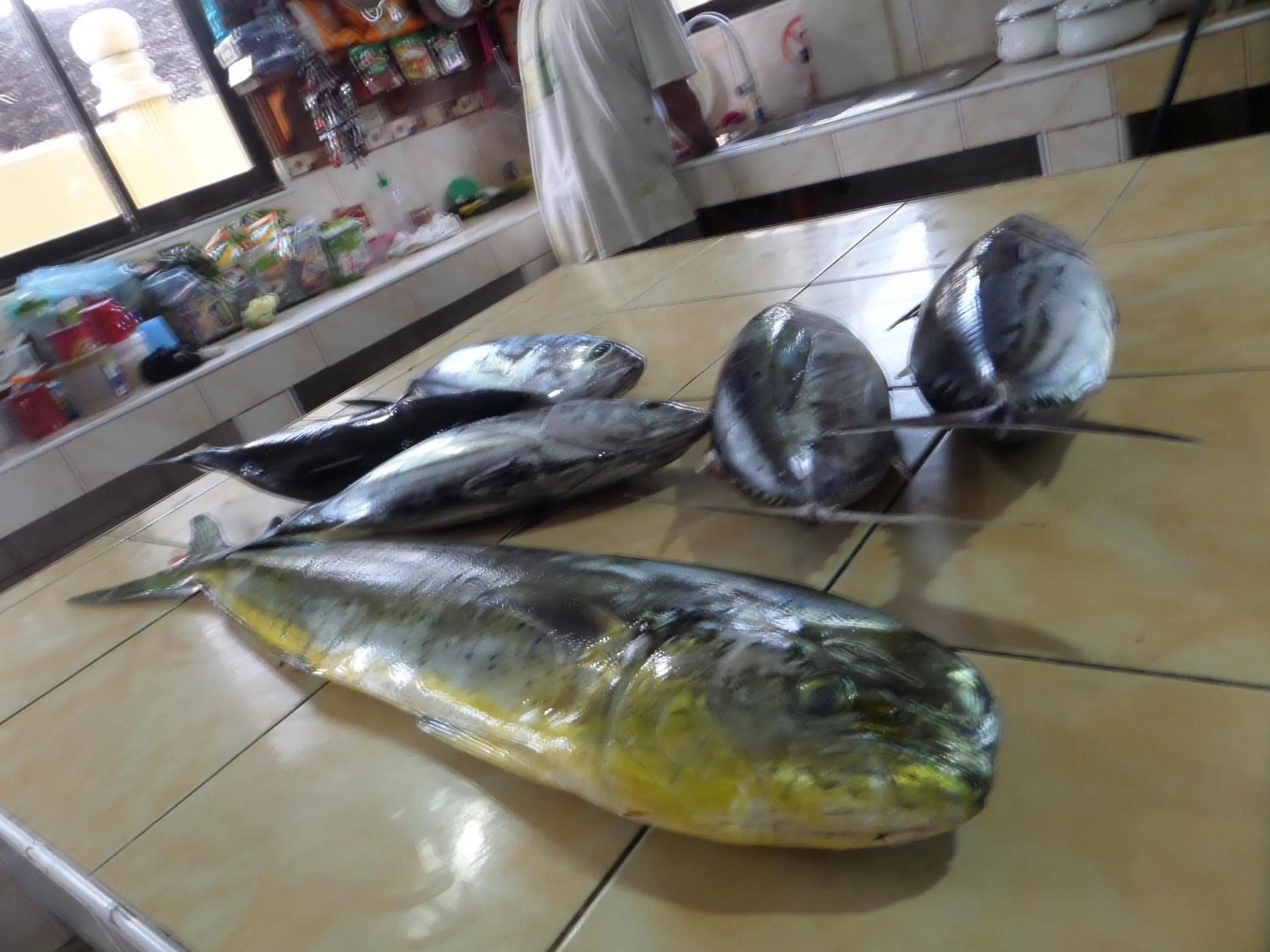 Food close-up in Sailfishbay Surf And Big Game Fishing Lodge