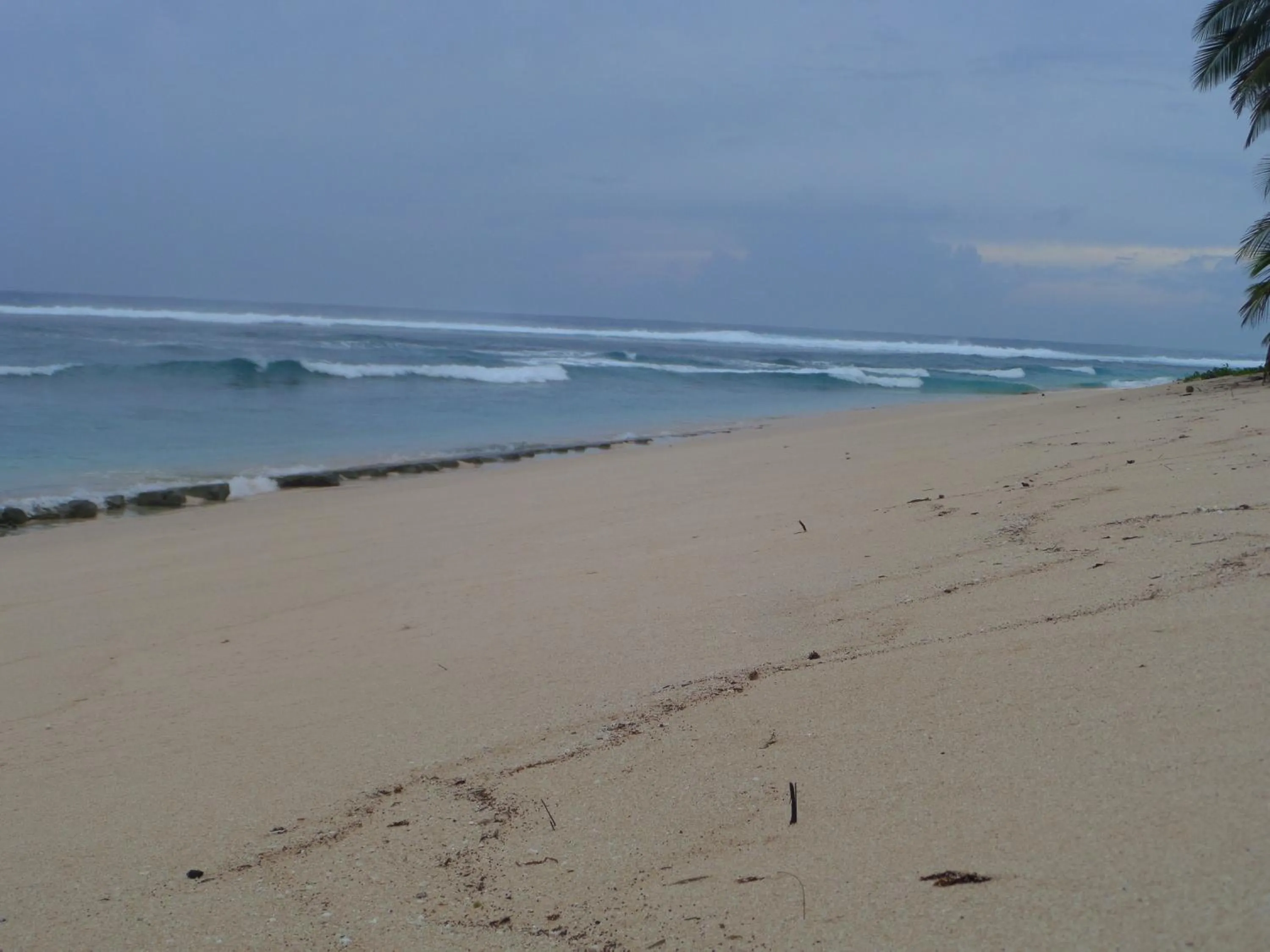 Beach in Sailfishbay Surf And Big Game Fishing Lodge