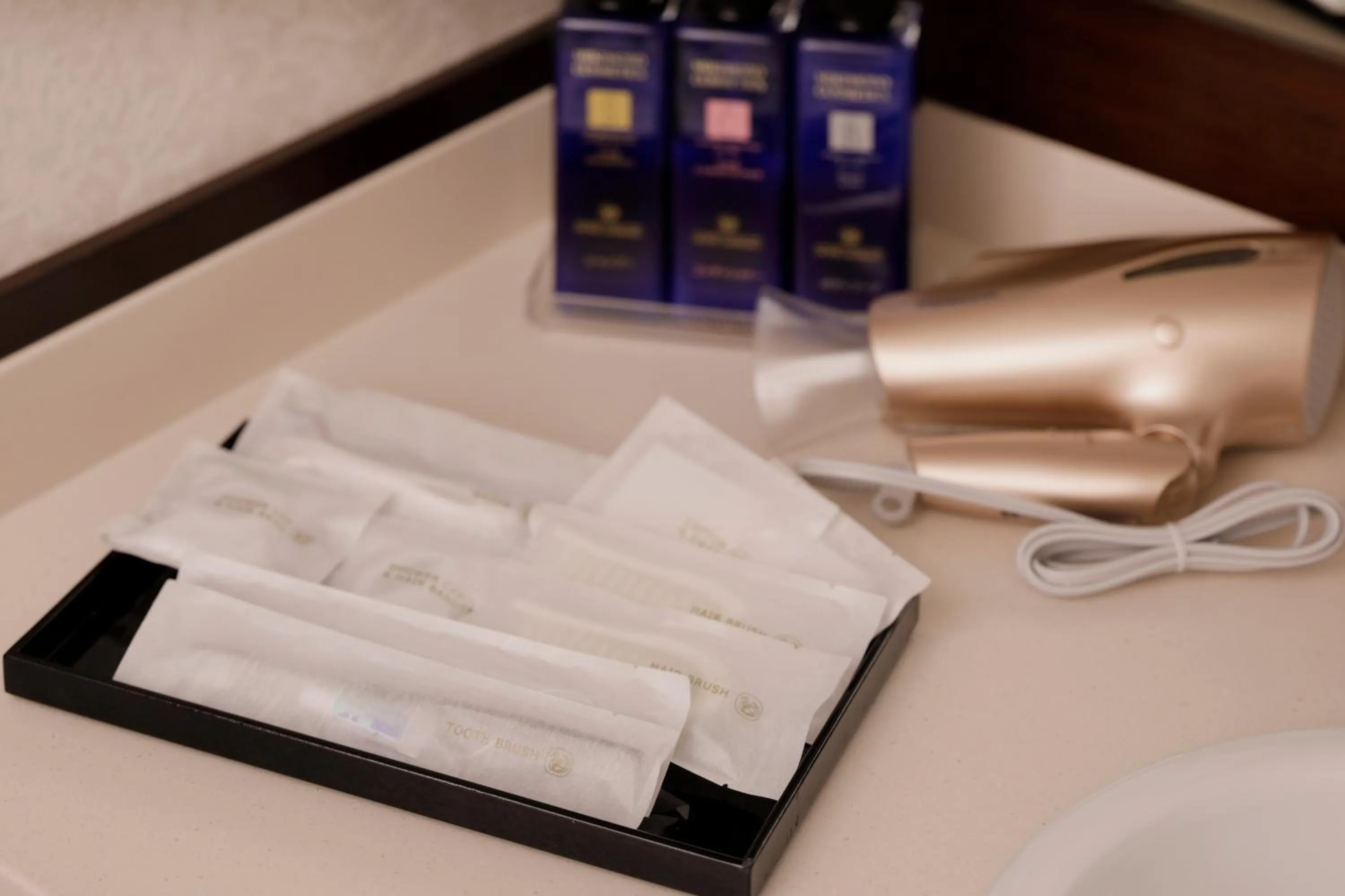 Other in Kanazawa Hakuchoro Hotel Sanraku -Natural Hot Spring-