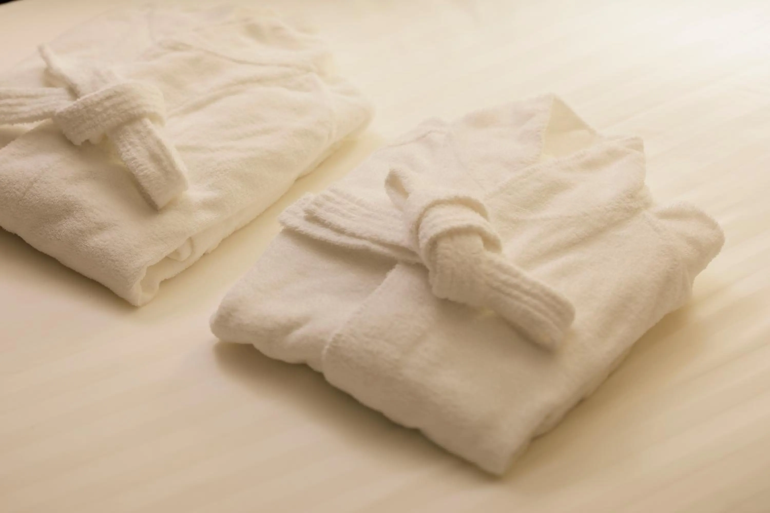 Other, Bed in Kanazawa Hakuchoro Hotel Sanraku -Natural Hot Spring-