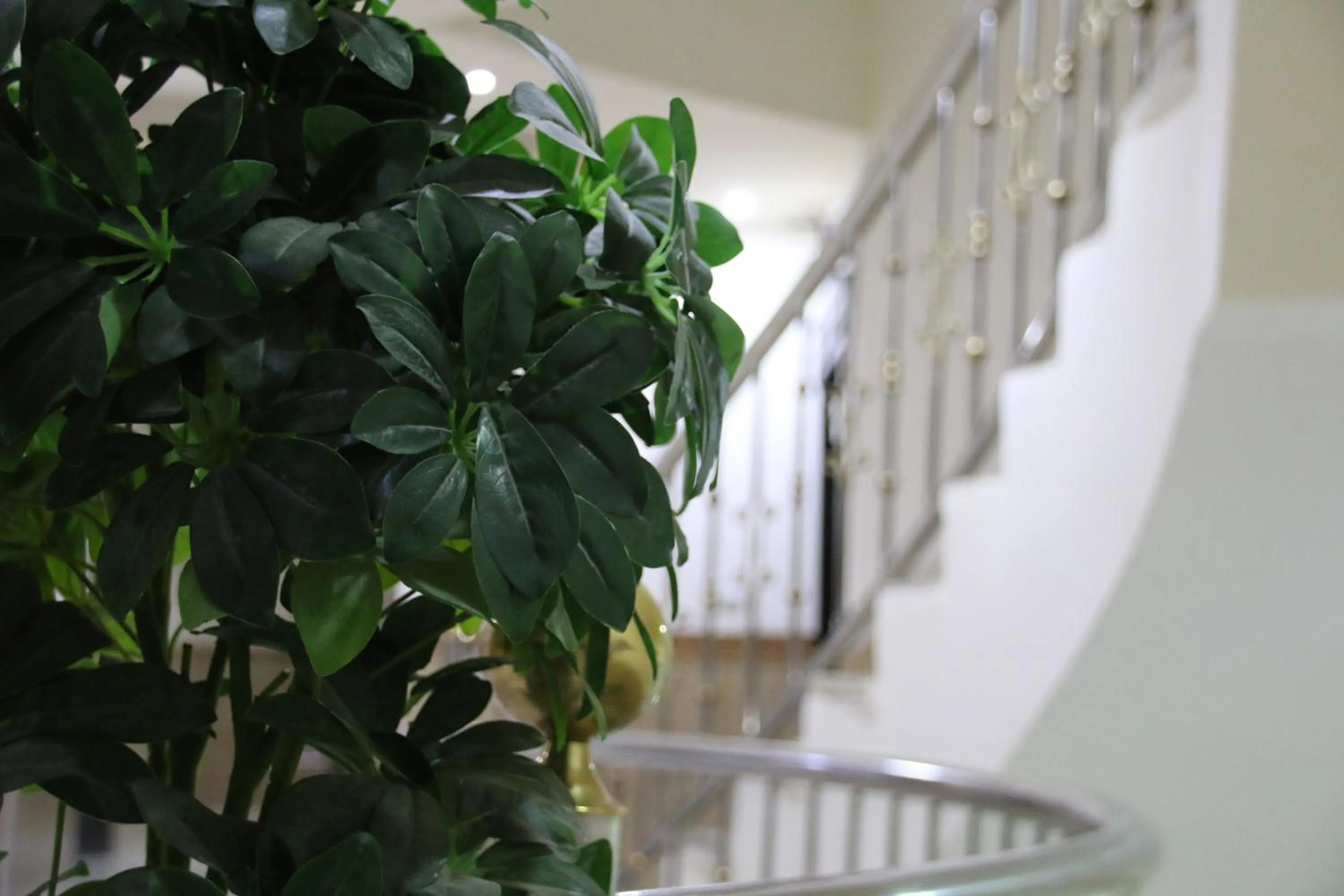 Dorar Darea Serviced Apartments - Al Malqa