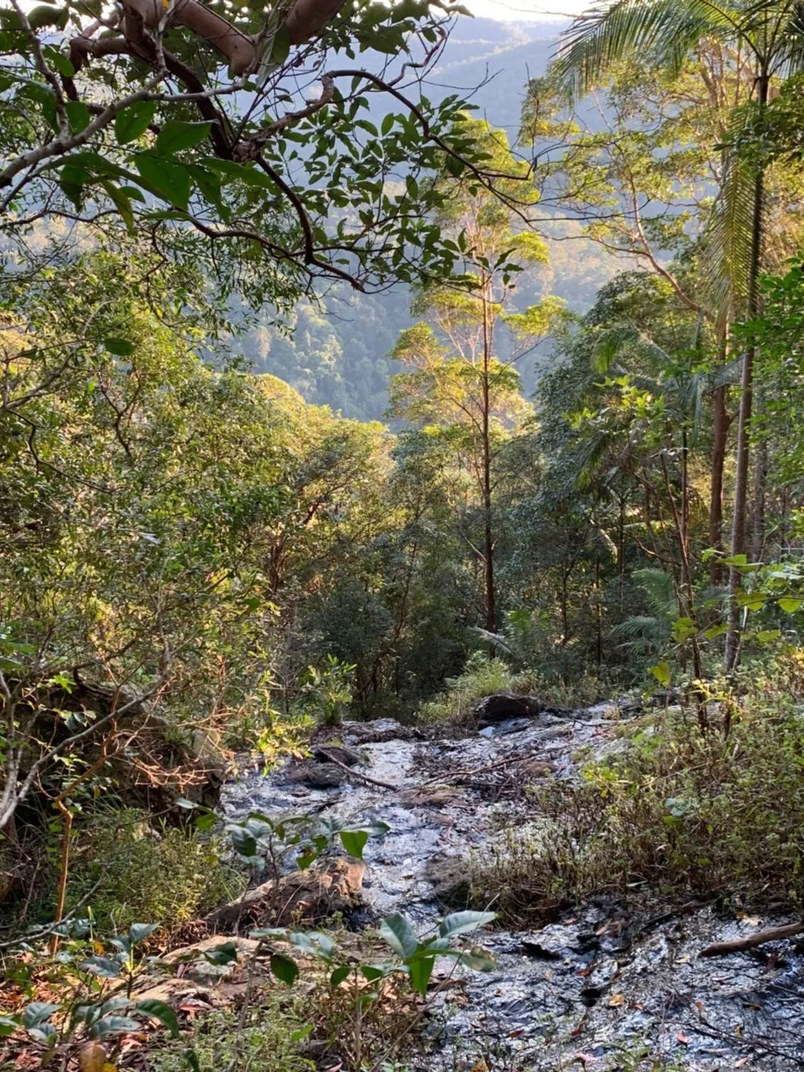 Natural landscape in Montville Country Cabins