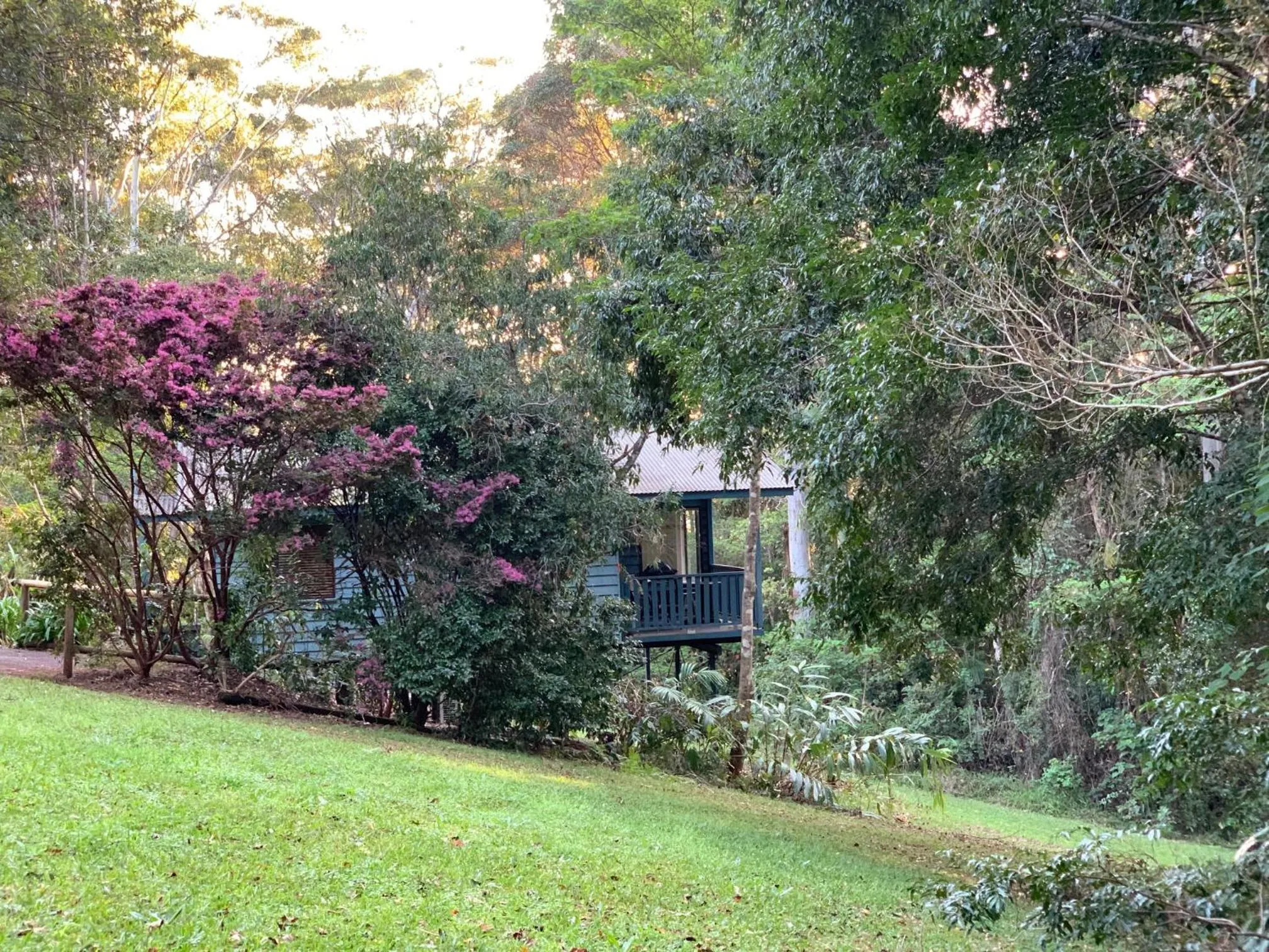 Natural landscape in Montville Country Cabins