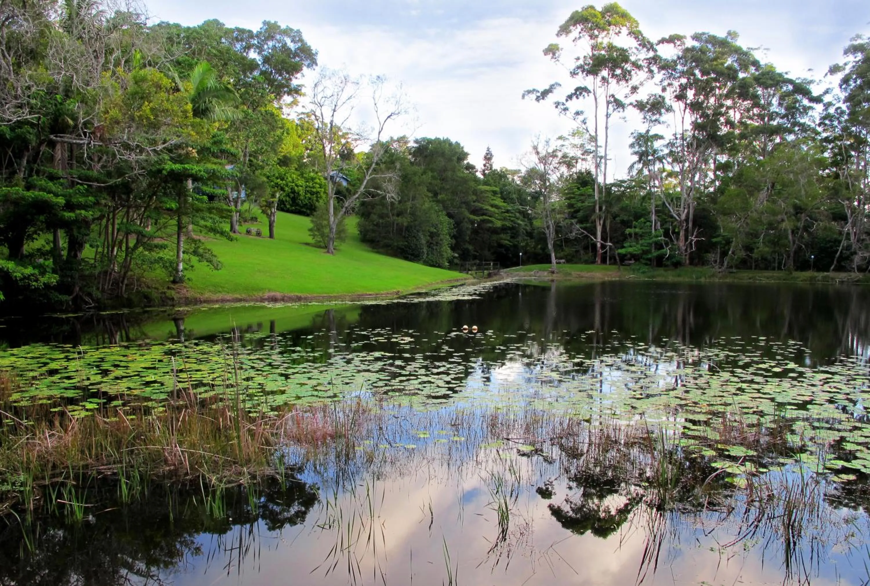 Garden in Montville Country Cabins