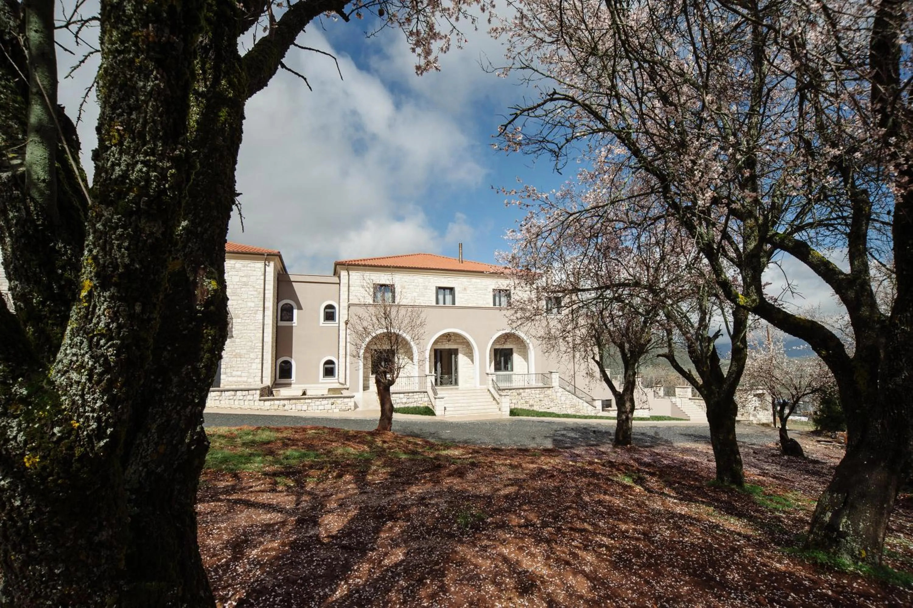 Facade/entrance in Levidi Suites