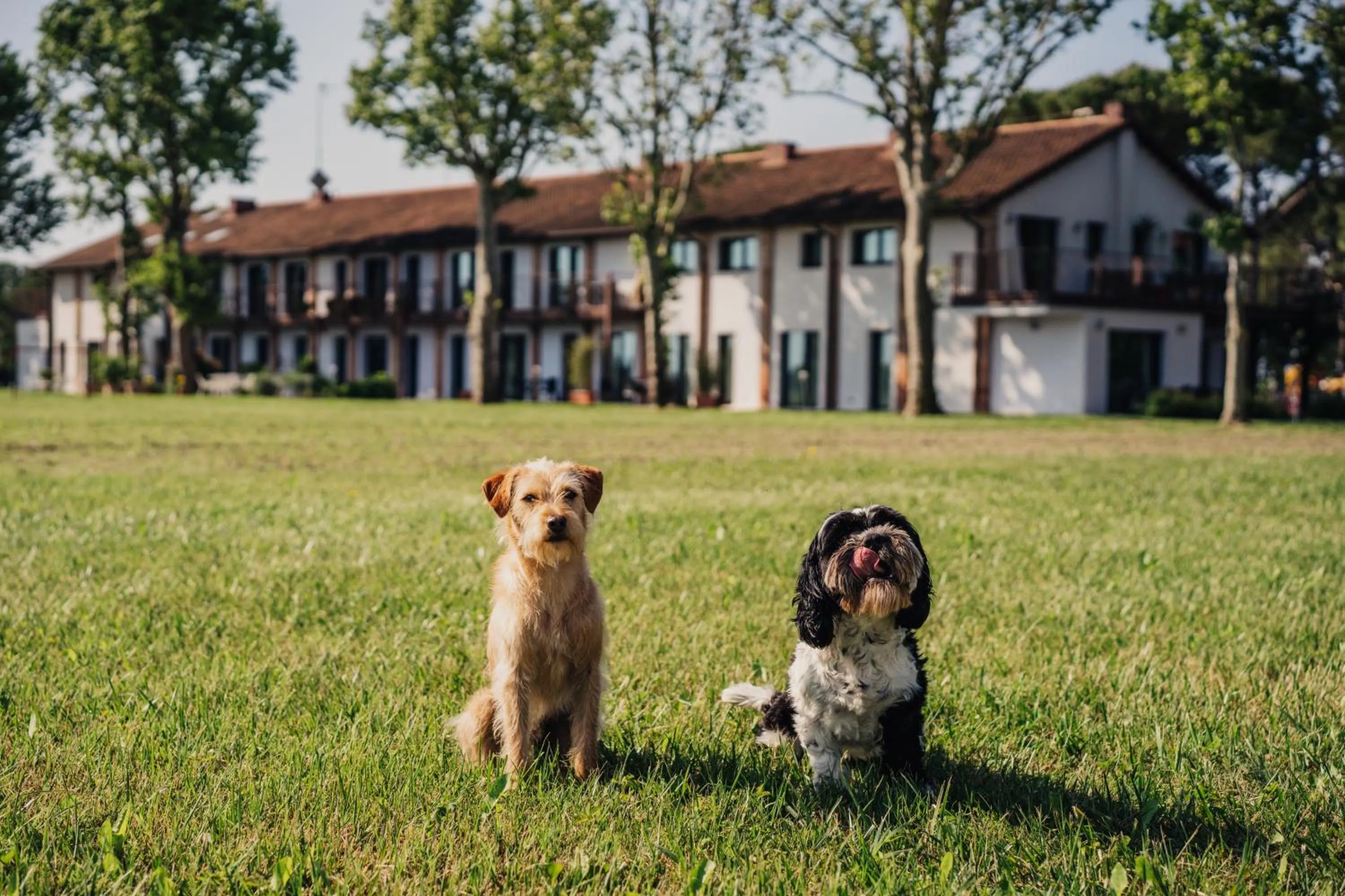 Animals in Residenze Di La' Dal Fiume