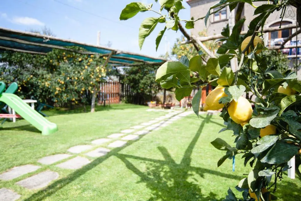 Day in Villa De Angelis