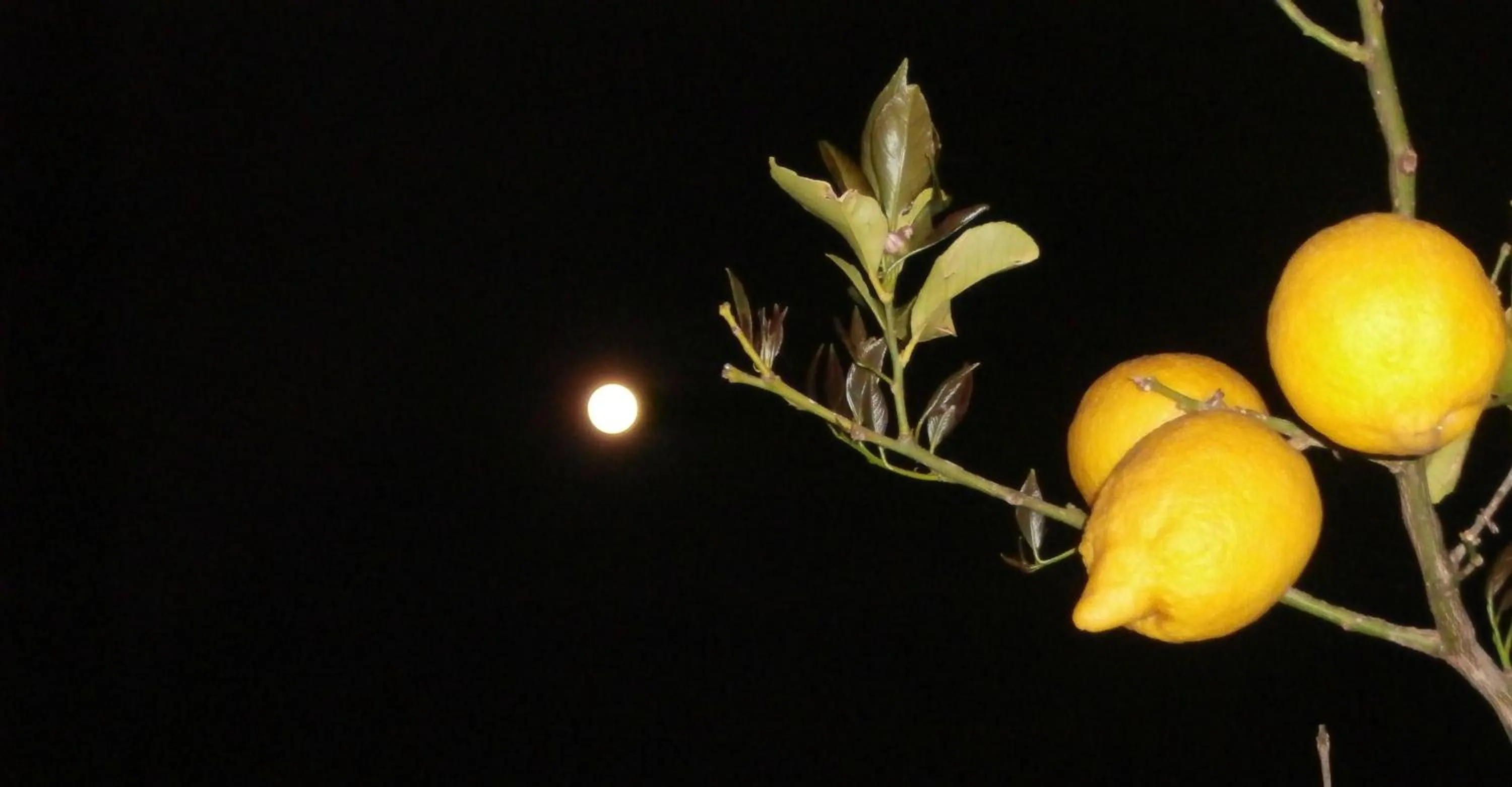 Night in Villa De Angelis