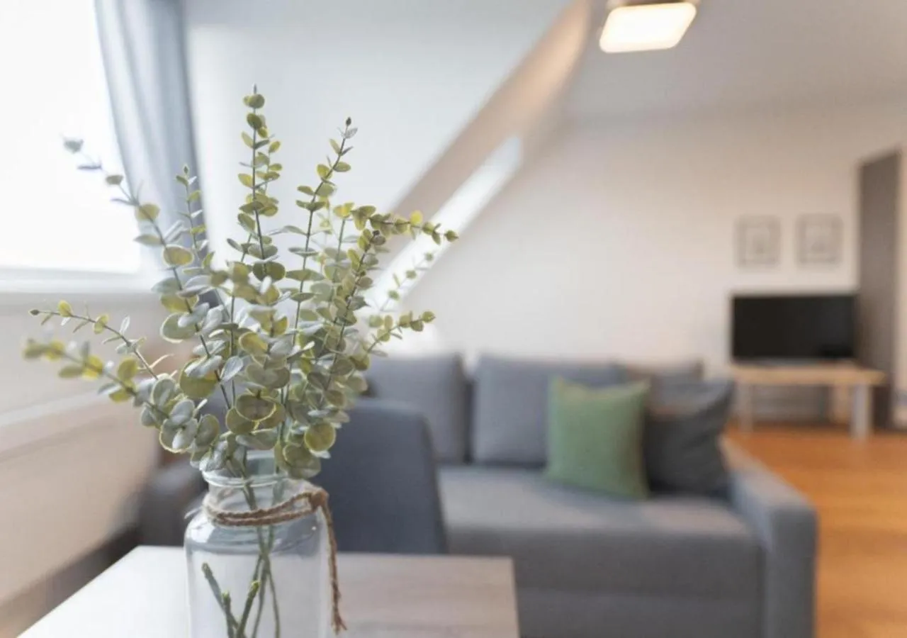 Photo of the whole room in Hotel Triester