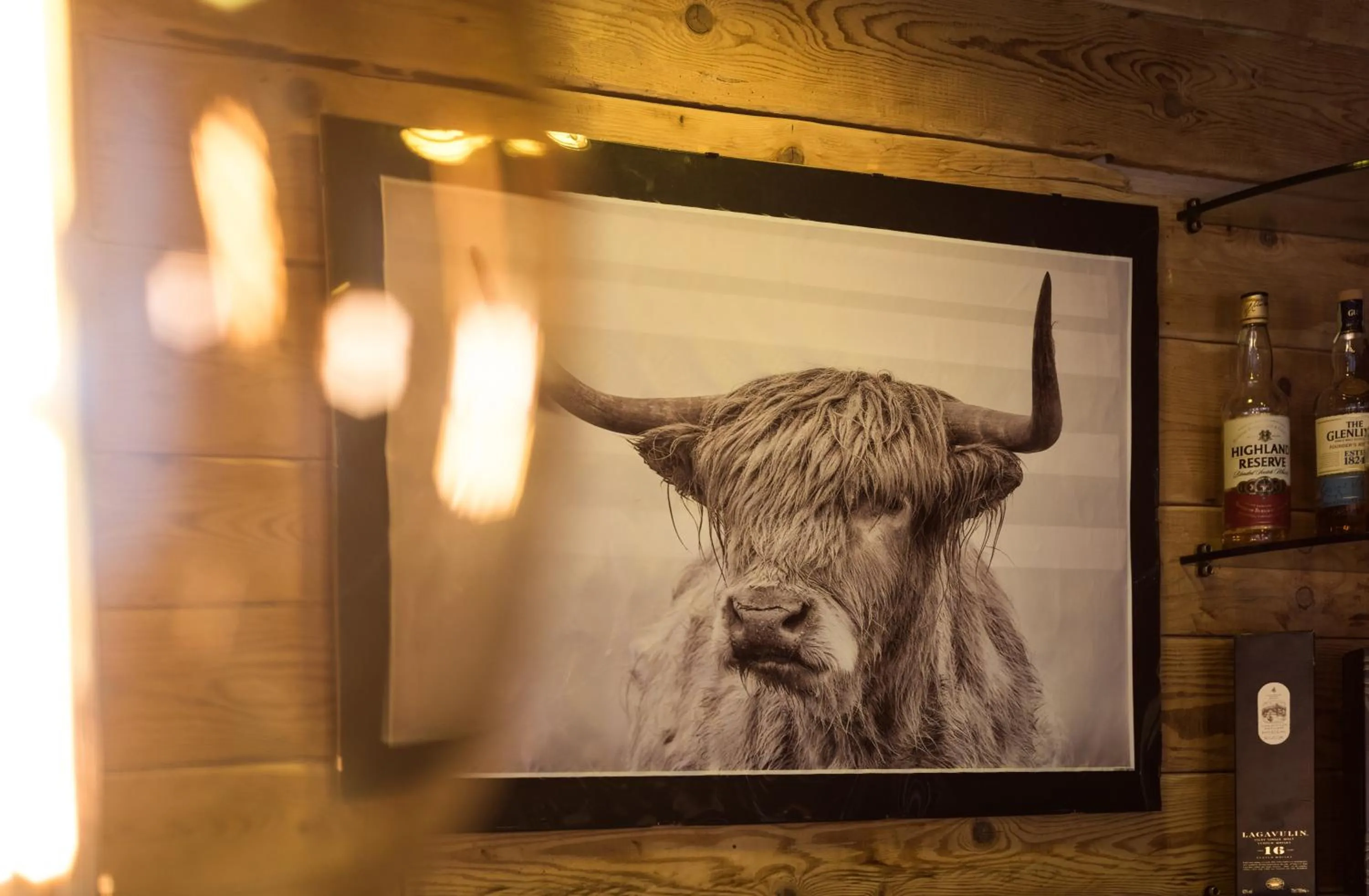 Restaurant/places to eat in Hotel Capital