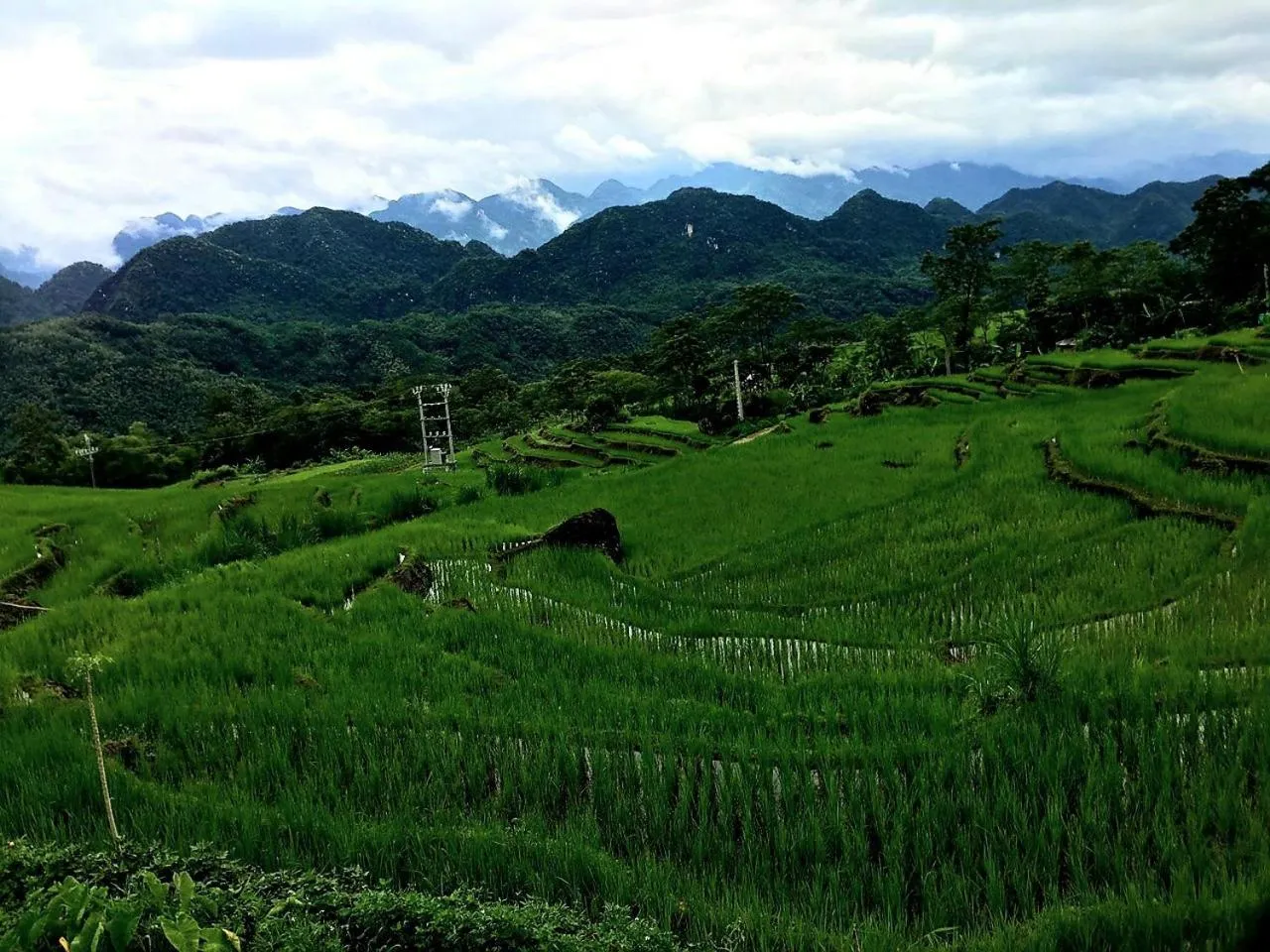 Natural landscape in Pu Luong May Home & Cafe