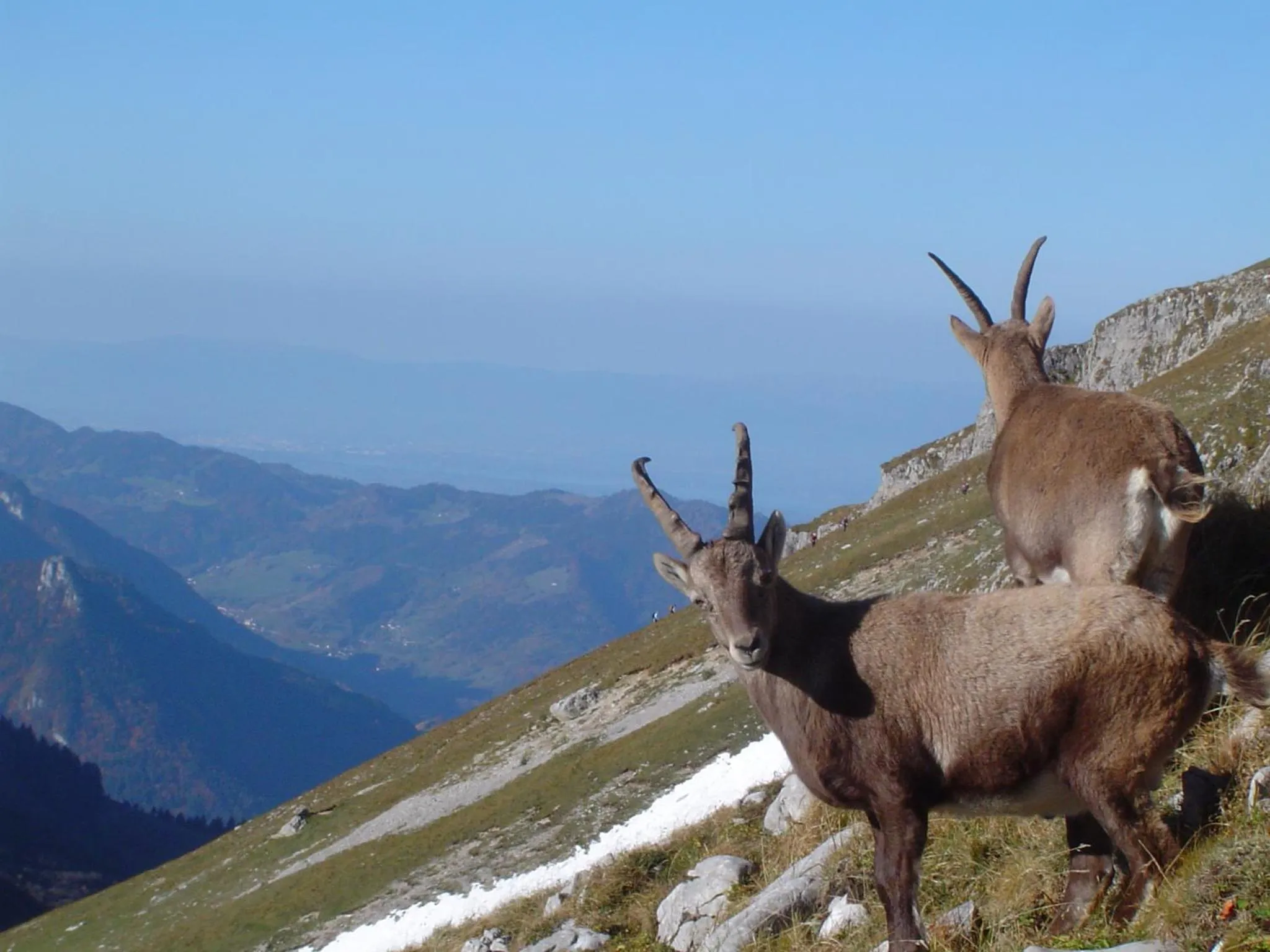 Off site in Terra-Beka Lodge