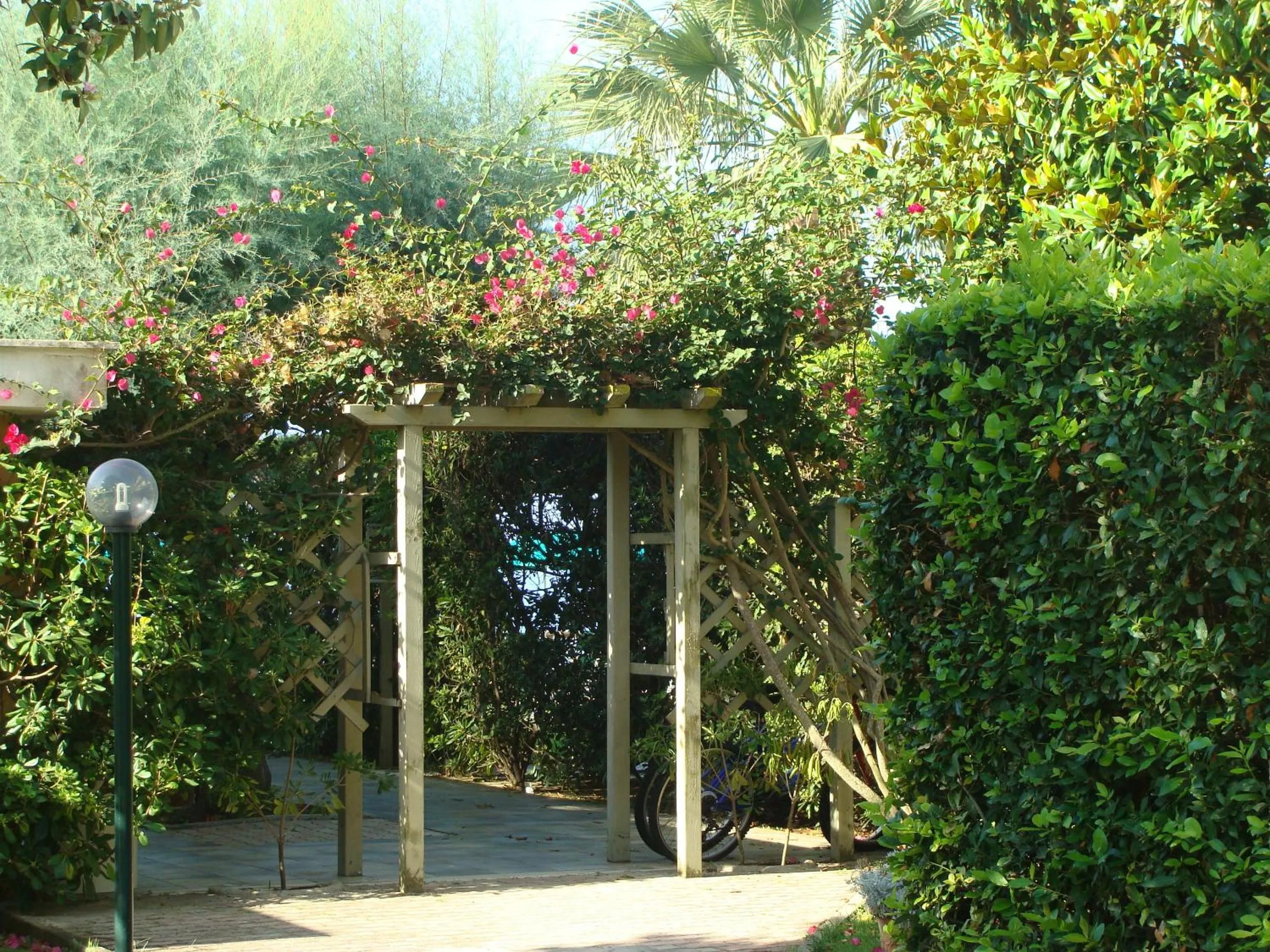 Garden in Villa Dei Principi Hotel