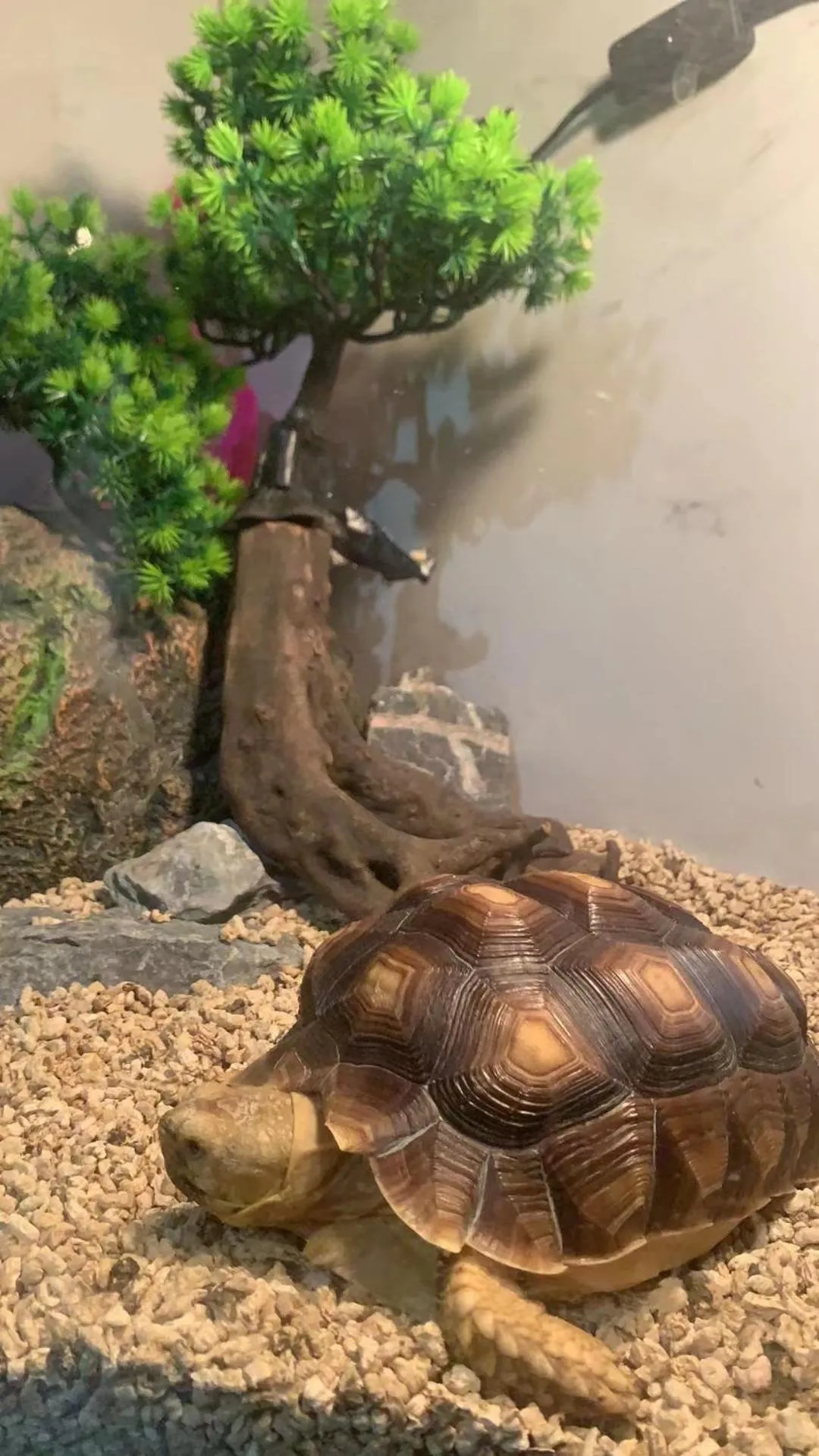 Living room in Sleep Cubee Hostel