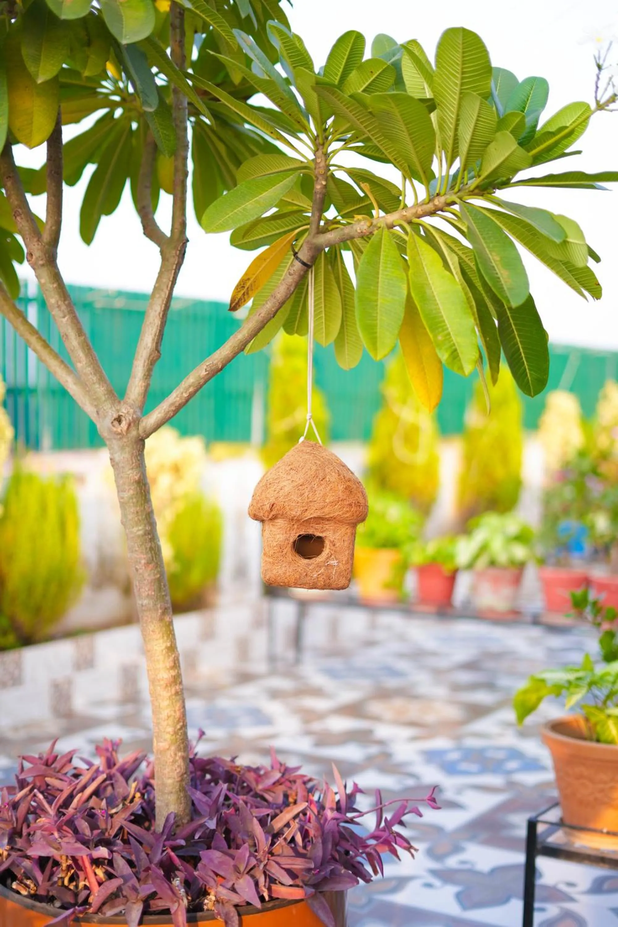 Restaurant/places to eat in Hotel Red Apple Near Railway Station Chandigarh