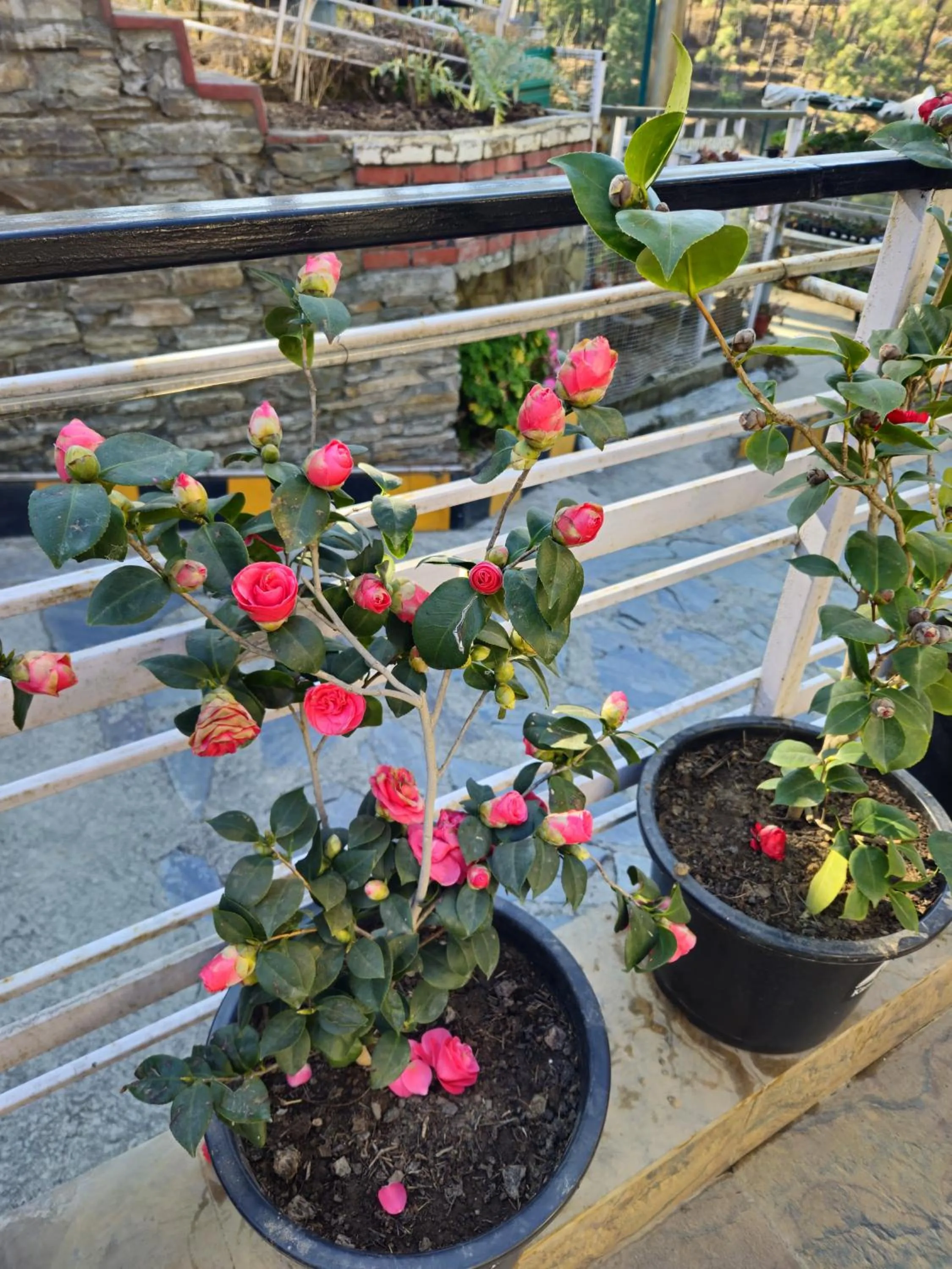 Property building in Hotel Red Apple Near Railway Station Chandigarh