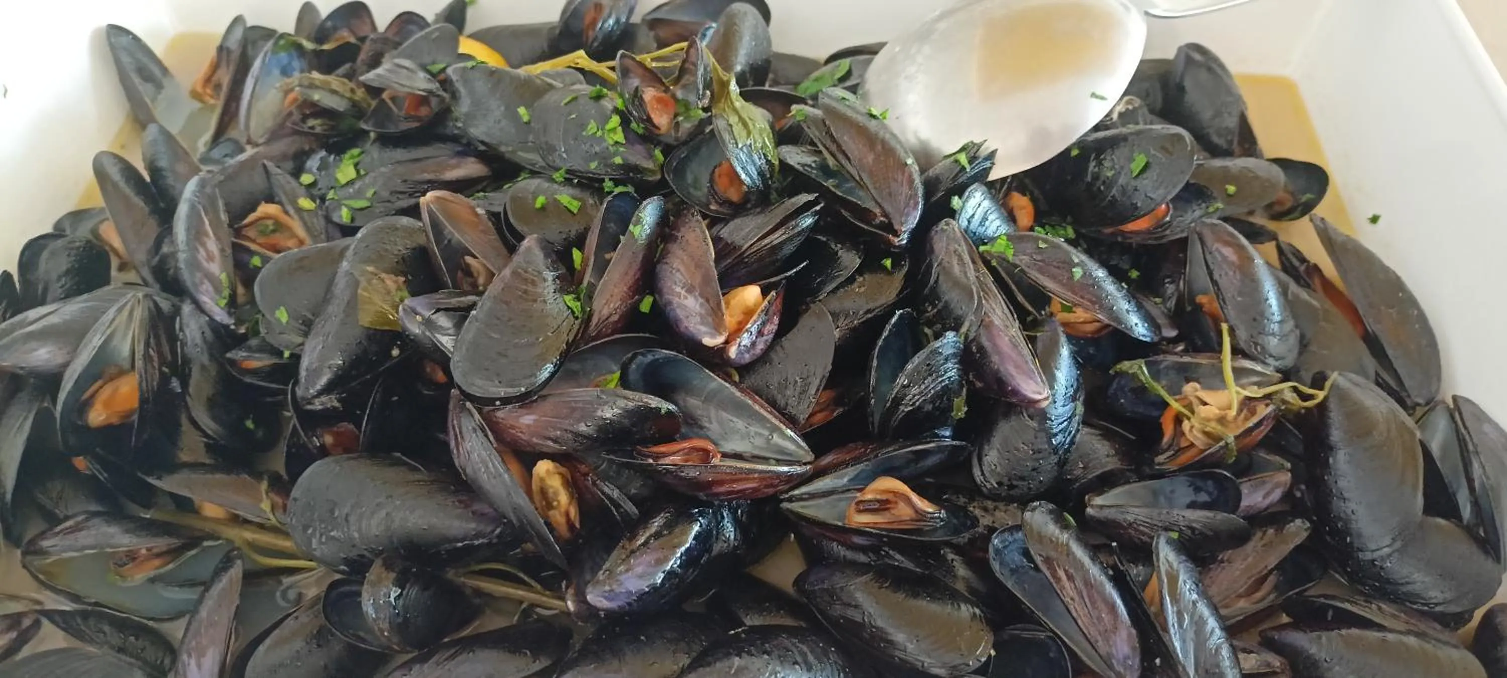 Restaurant/places to eat in Hotel Ascot Riccione