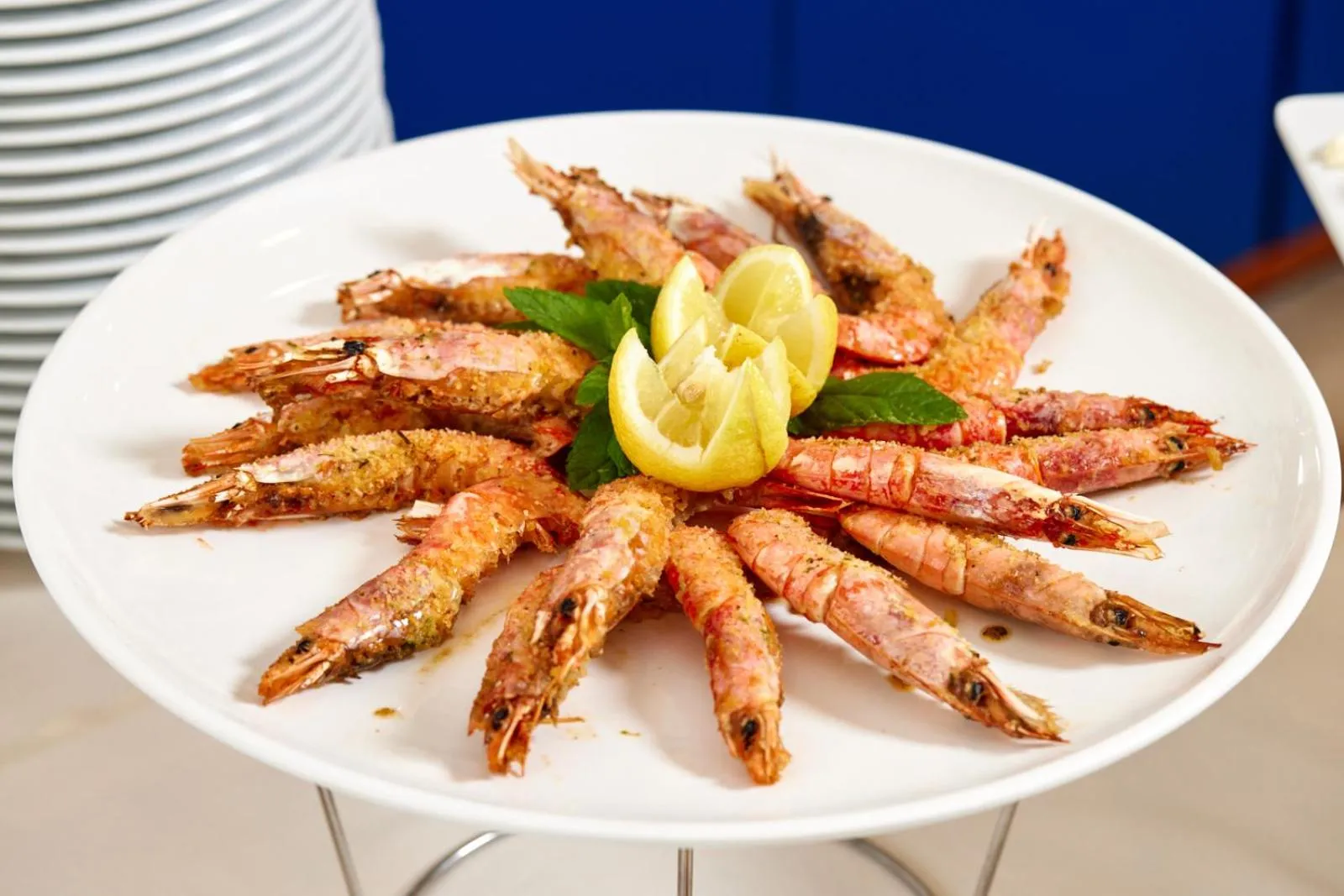 Food and drinks in Hotel Ascot Riccione