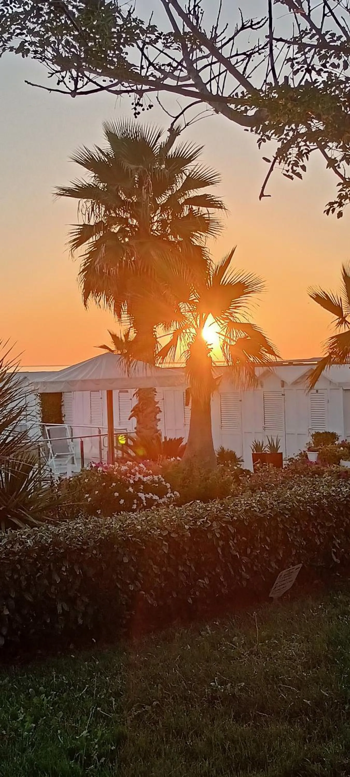 Sunrise in Hotel Ascot Riccione