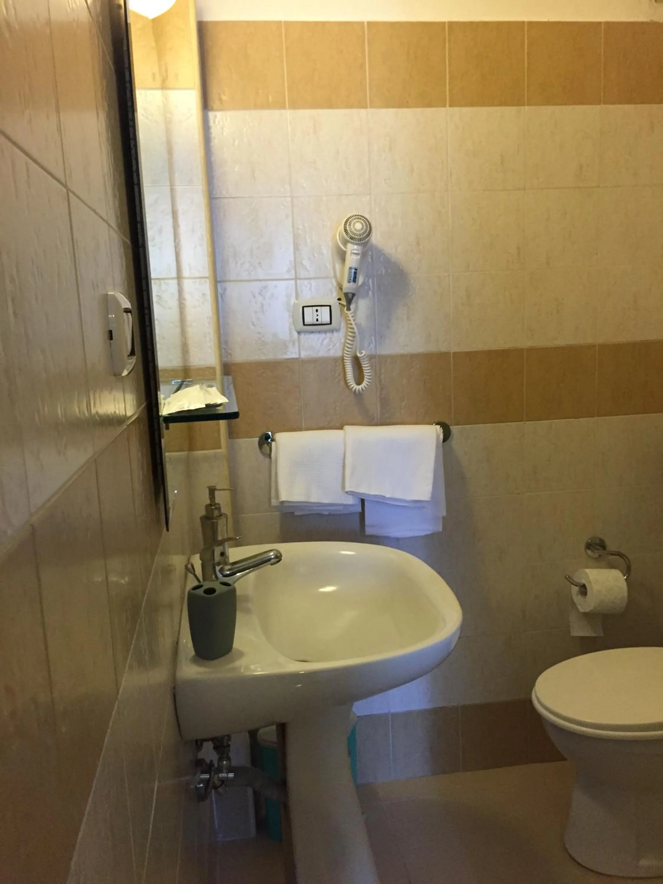 Toilet in Hotel Centrale Europa