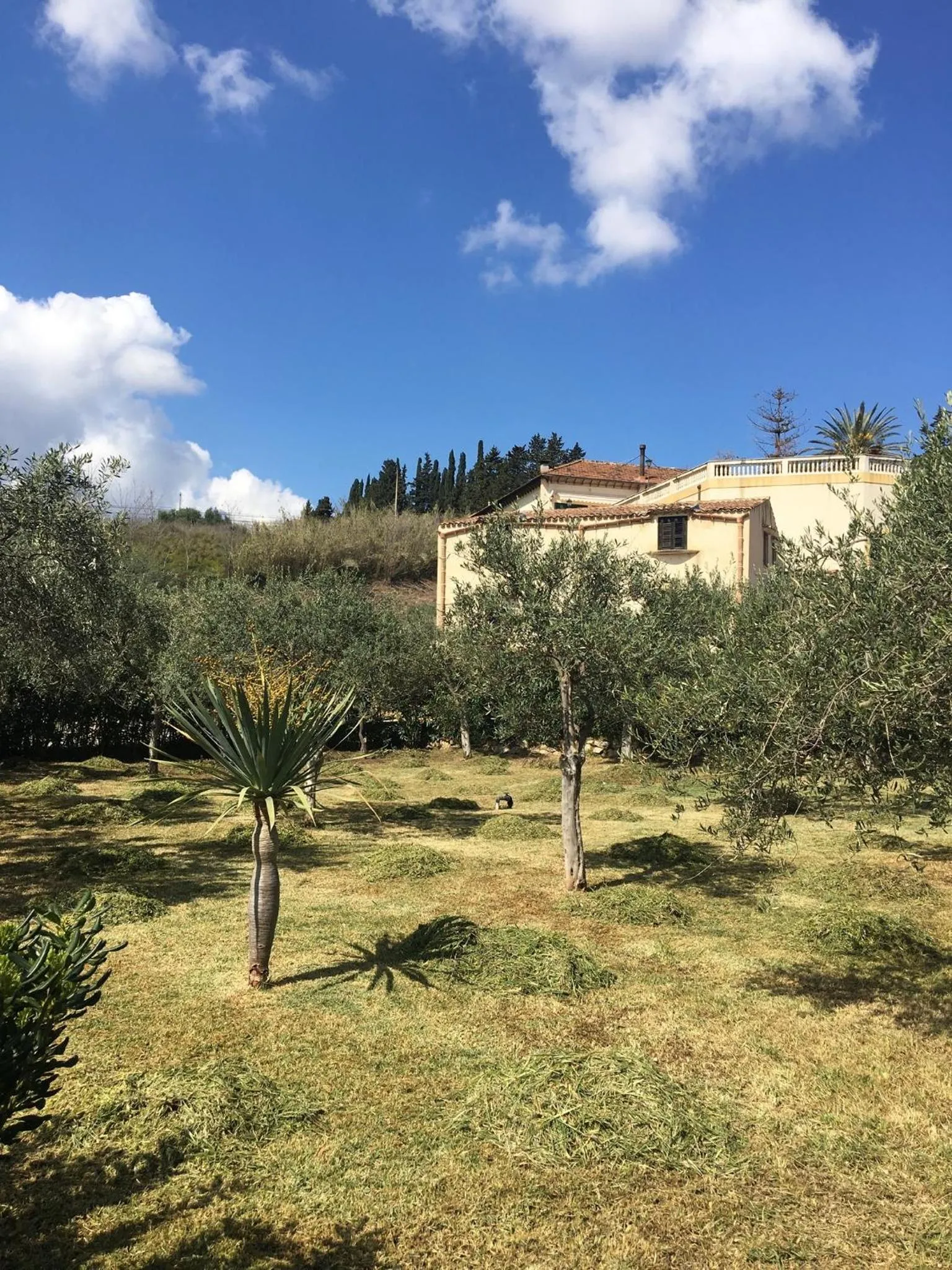 Garden view in Agriturismo Villa Cefalà