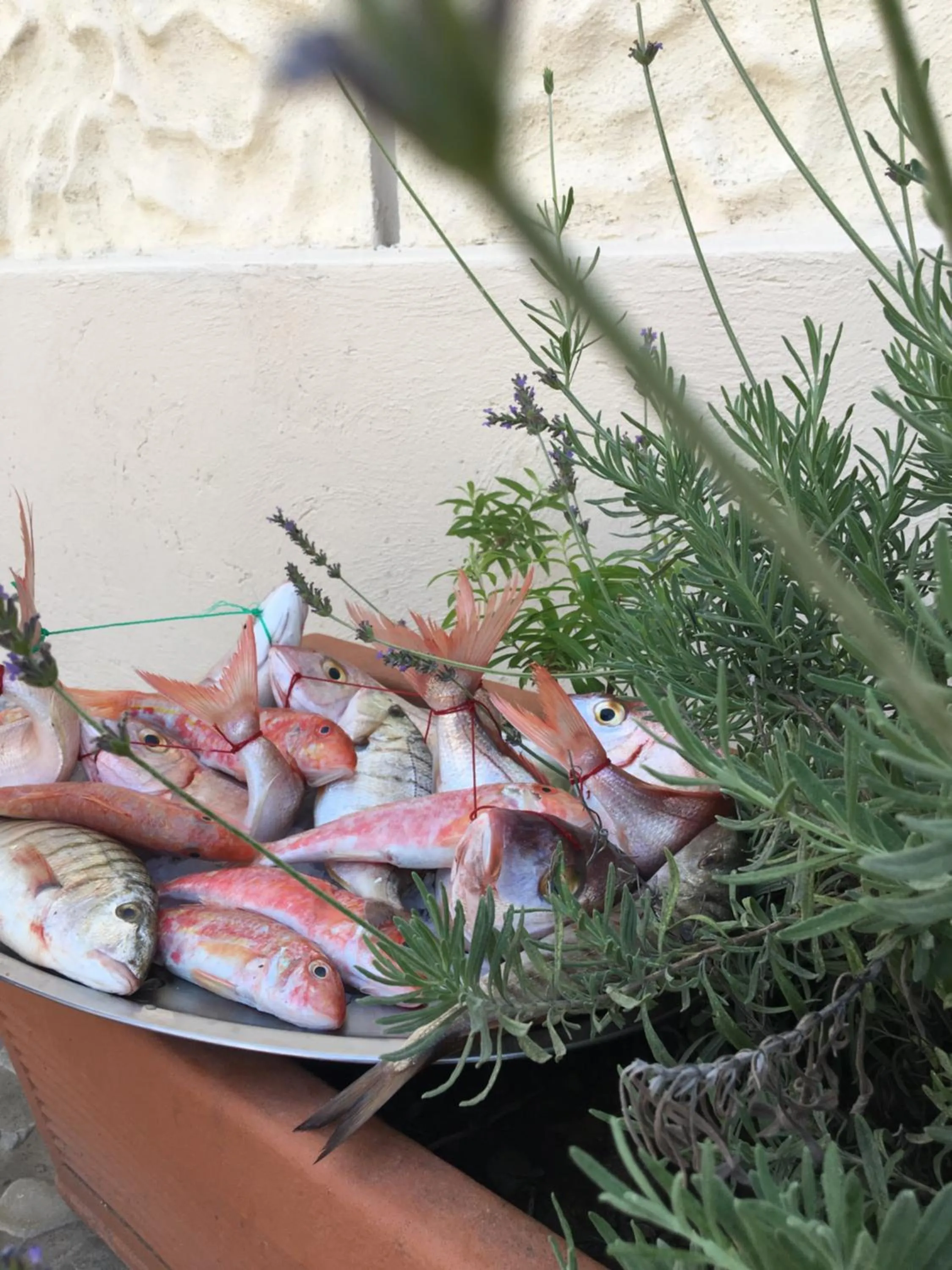 Restaurant/places to eat in Agriturismo Villa Cefalà