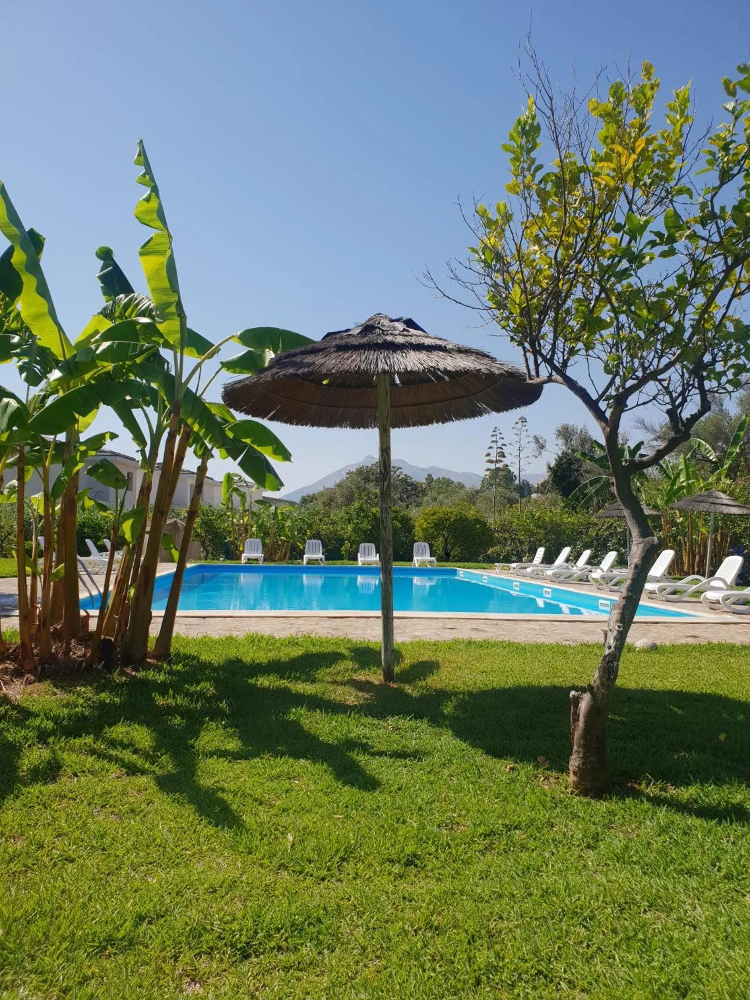 Pool view in Agriturismo Villa Cefalà