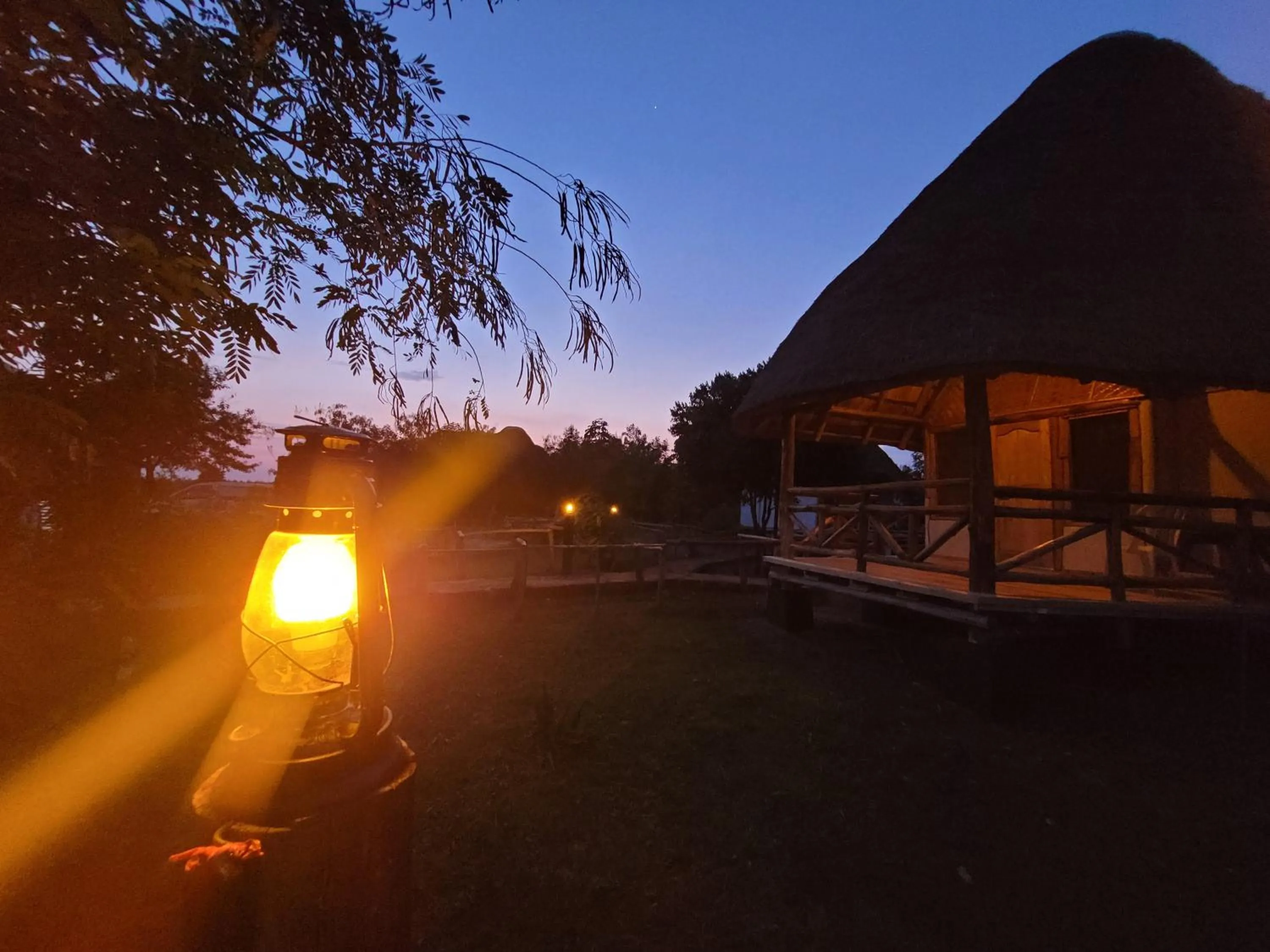 Balcony/Terrace in Songbird Safari Lodge & Campsite