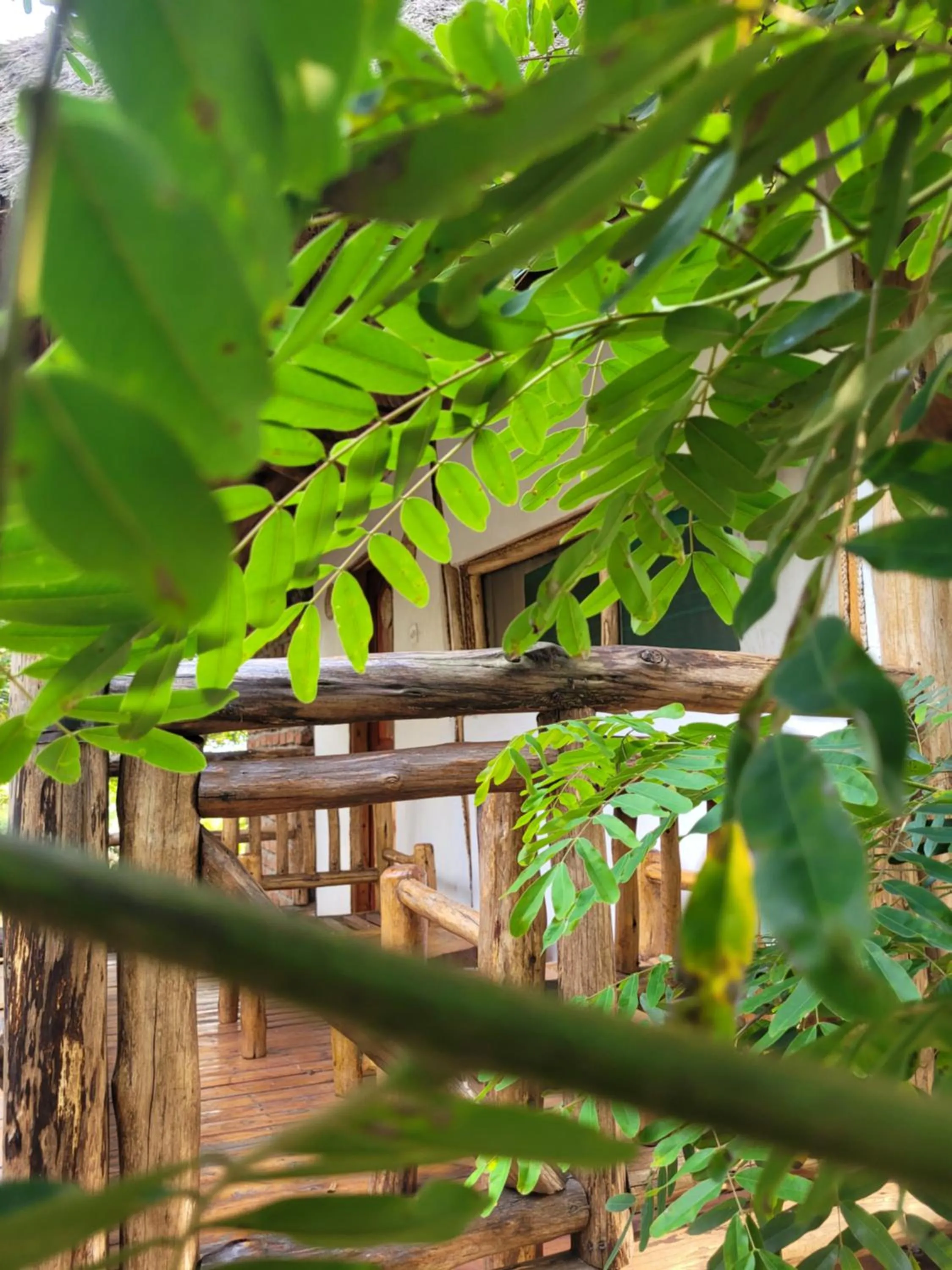 Property building in Songbird Safari Lodge & Campsite