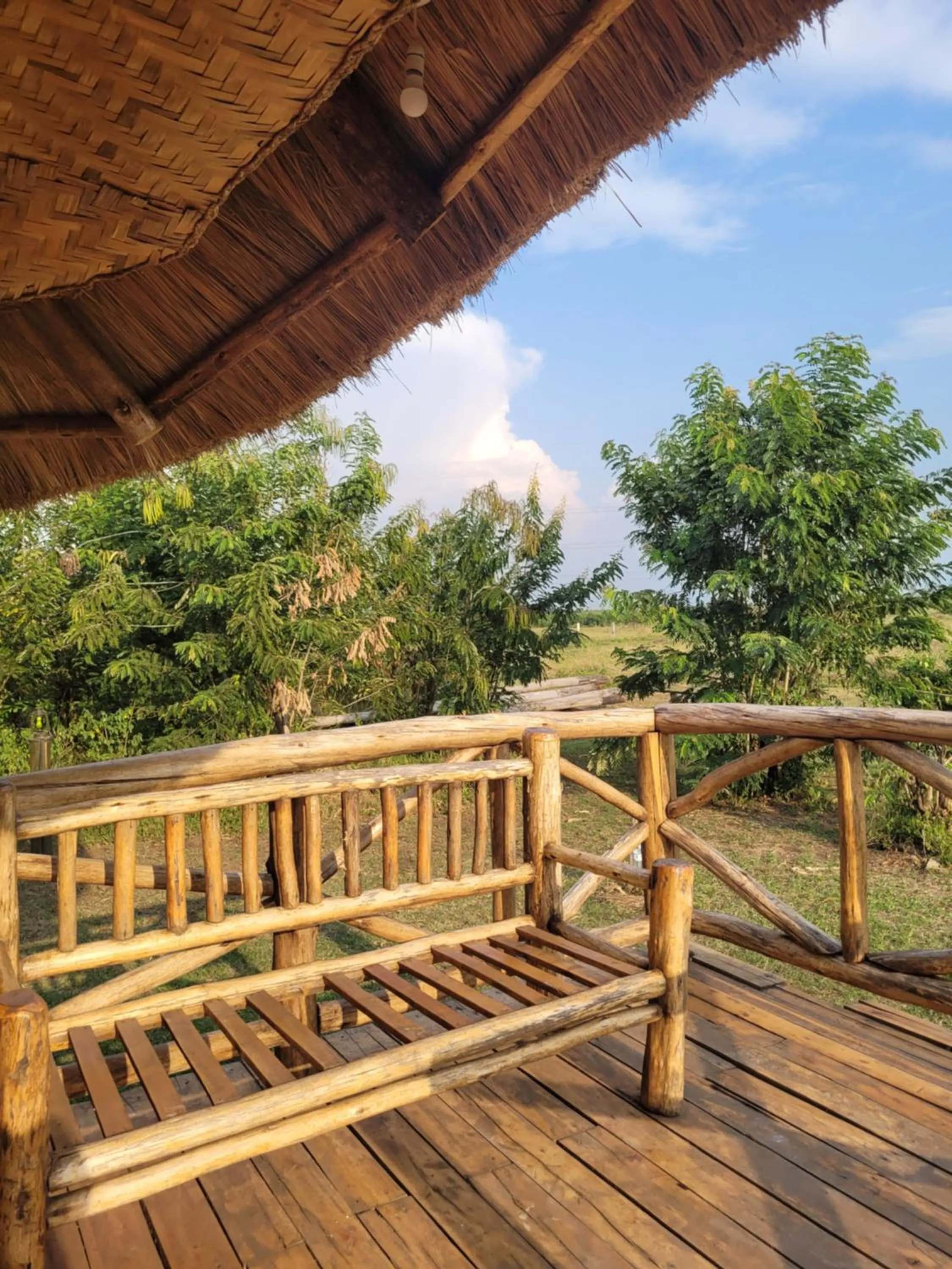 Natural landscape in Songbird Safari Lodge & Campsite