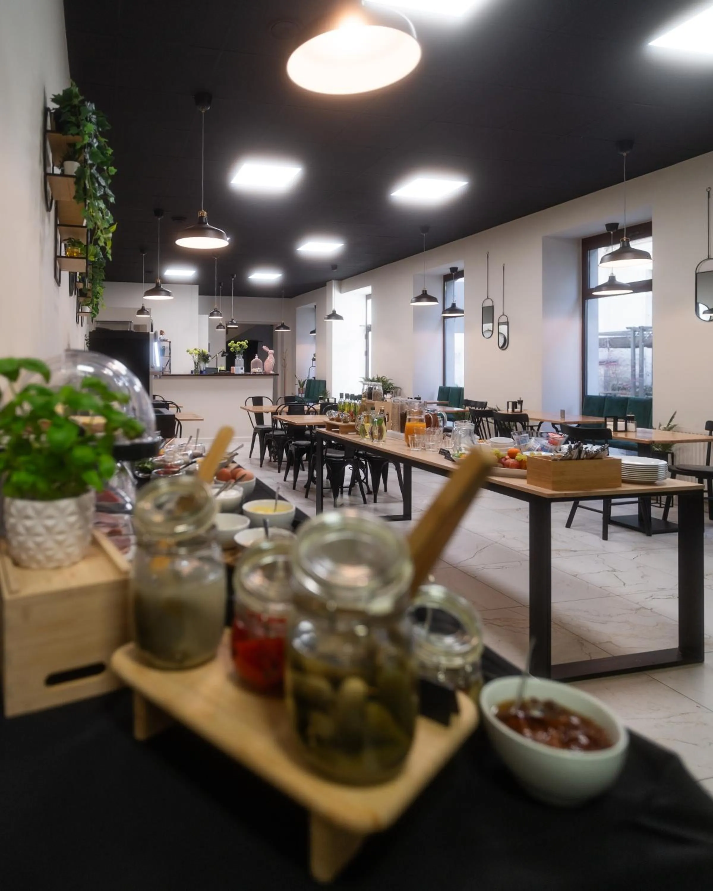 Food and drinks in City Center Rooms Piotrkowska 91