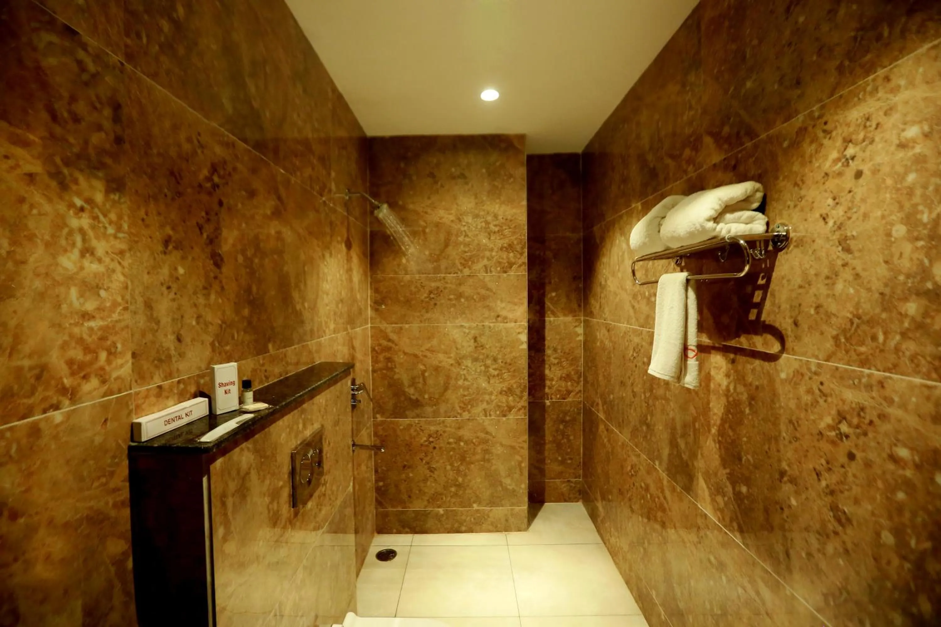 Shower in Hotel The Spades