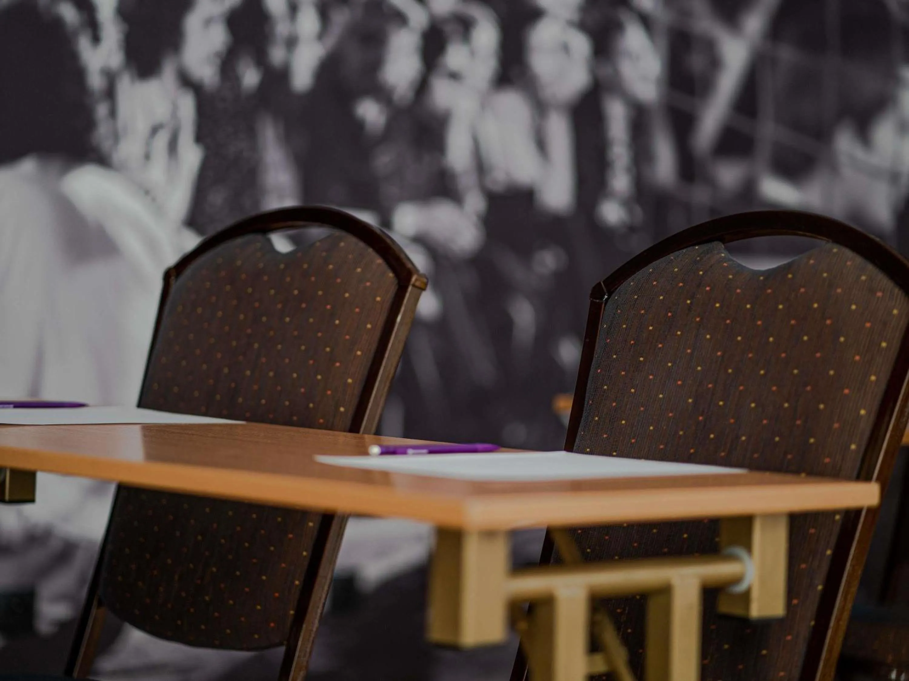 Meeting/conference room in Mercure Opole